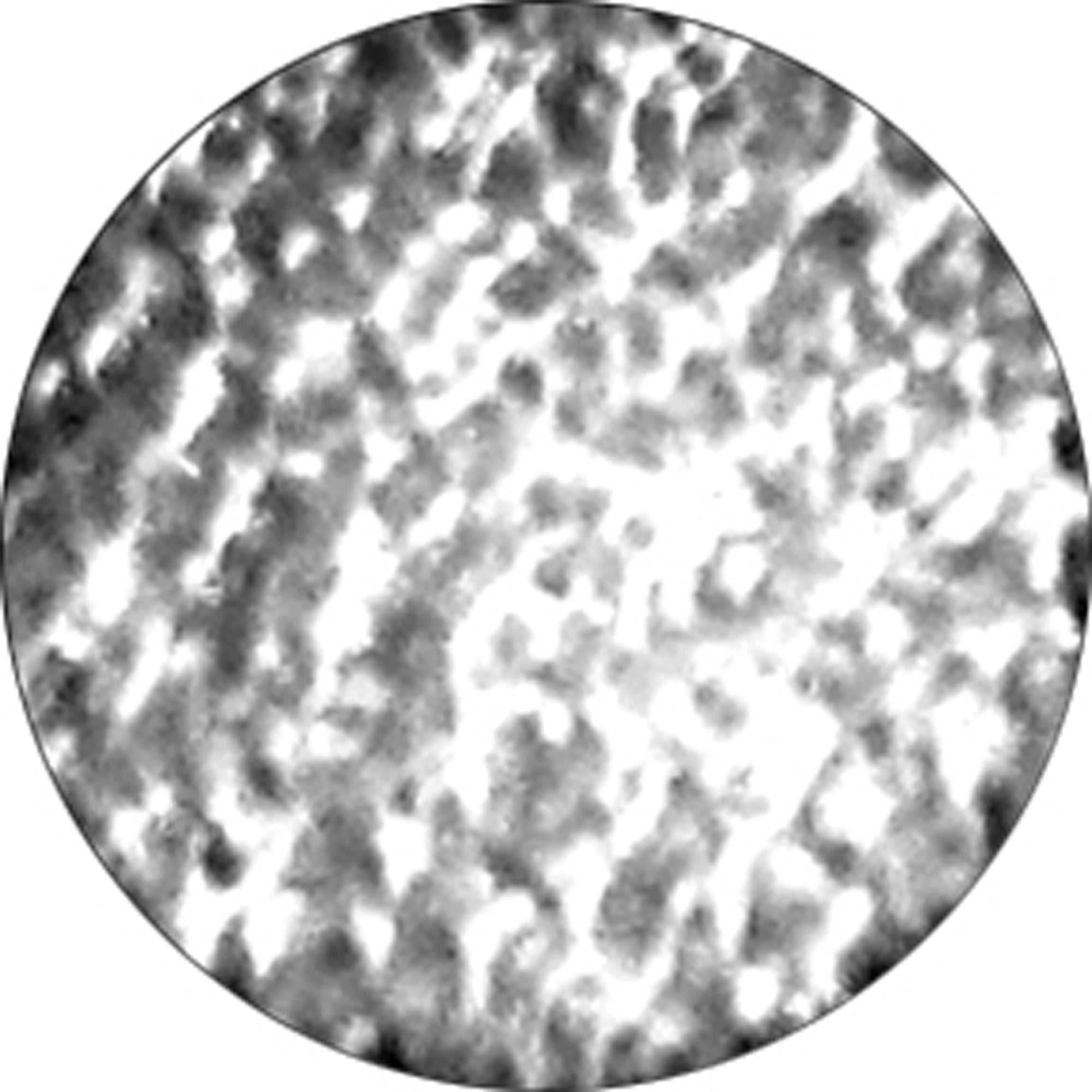 Rosco Effects Image Glass Gobo #33623 Reflections (Size B 86mm)