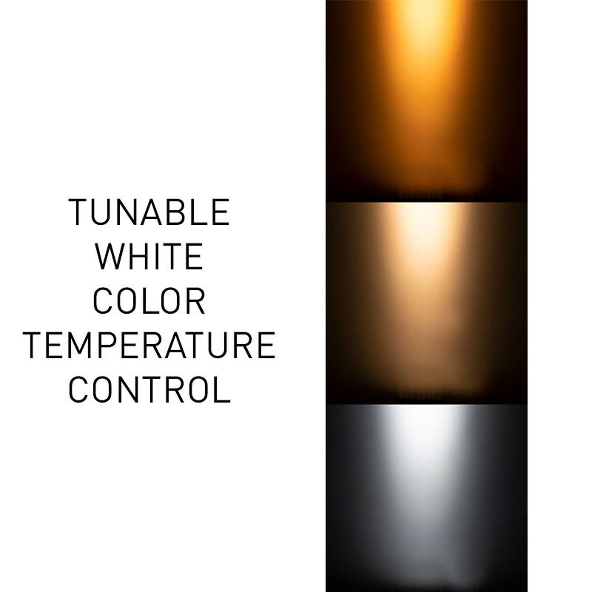 American DJ 40 HEX Panel IP Indoor Outdoor IP65 Rated Wash, Blinder, Color Strobe Light Fixture