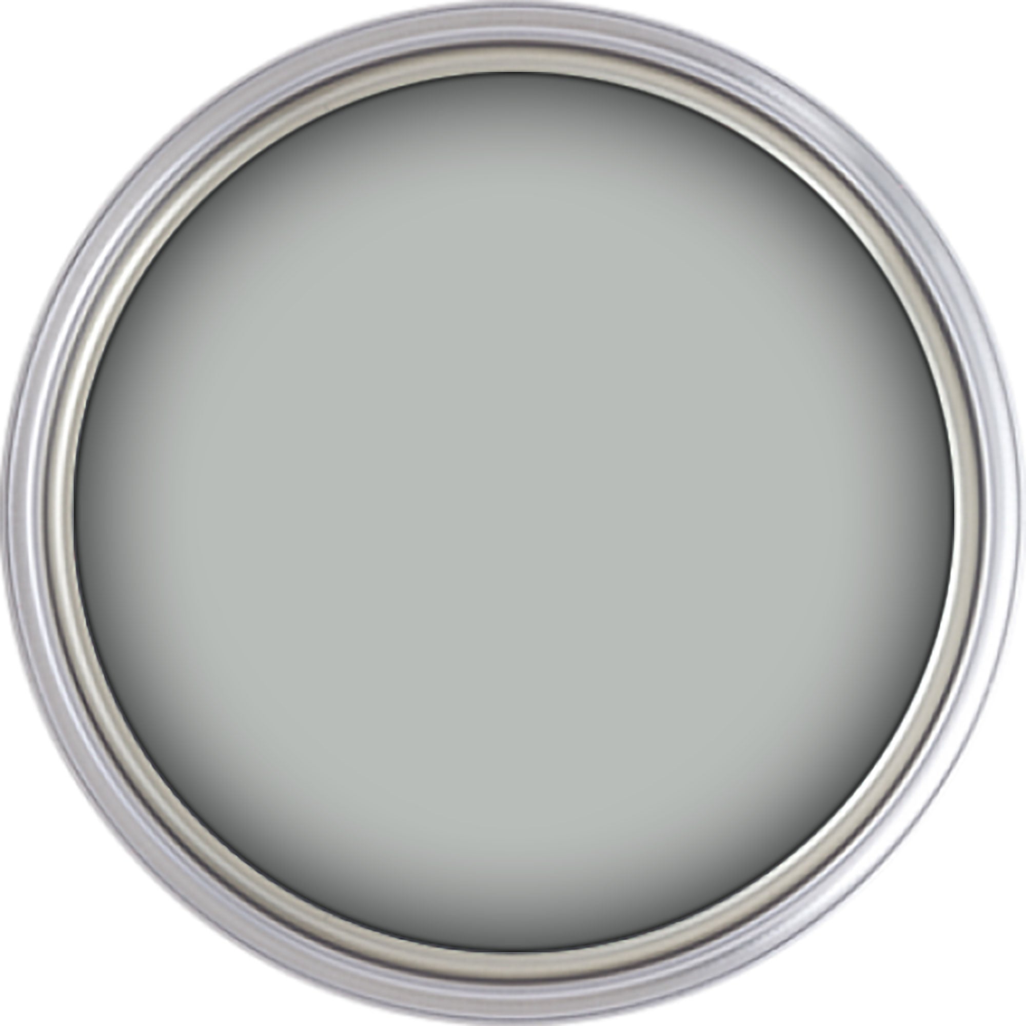 Rosco #5385 Off Broadway Paint Silver (1 Gallon)