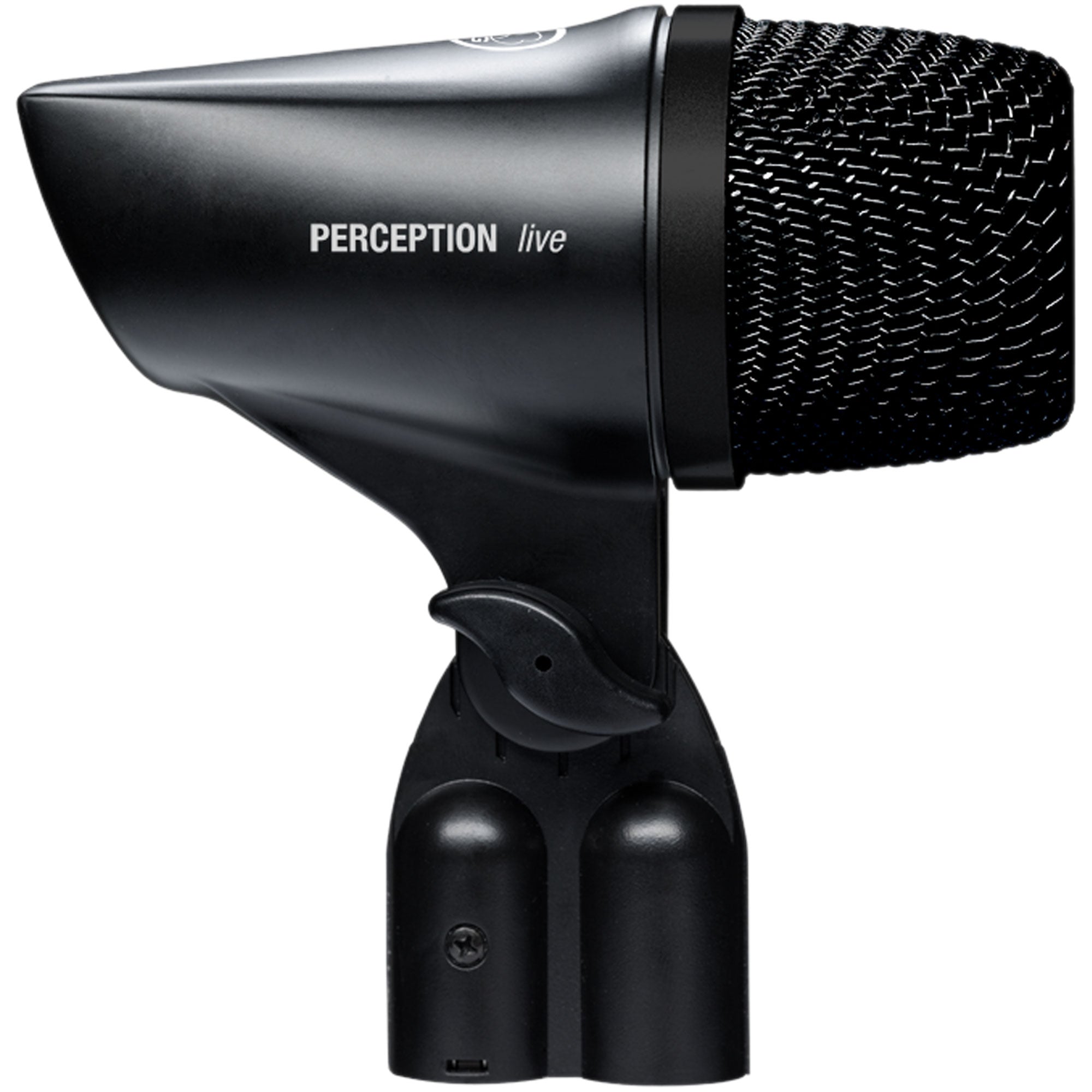 AKG P2 High-Performance Dynamic Bass Microphone