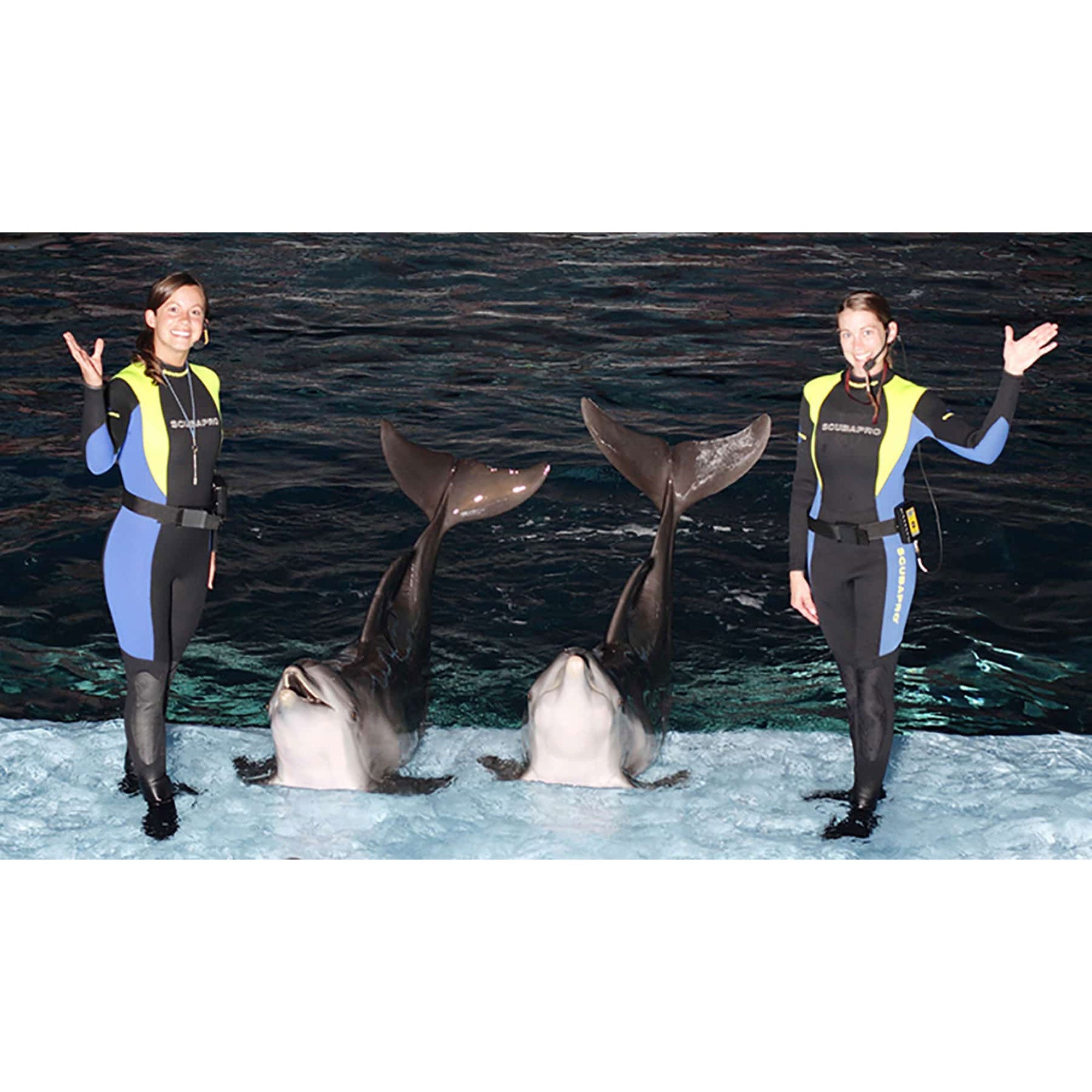 Galaxy Audio H2O7 Heavy Duty Waterproof Fitness Dual Ear Headset Mic (Black, Shure)