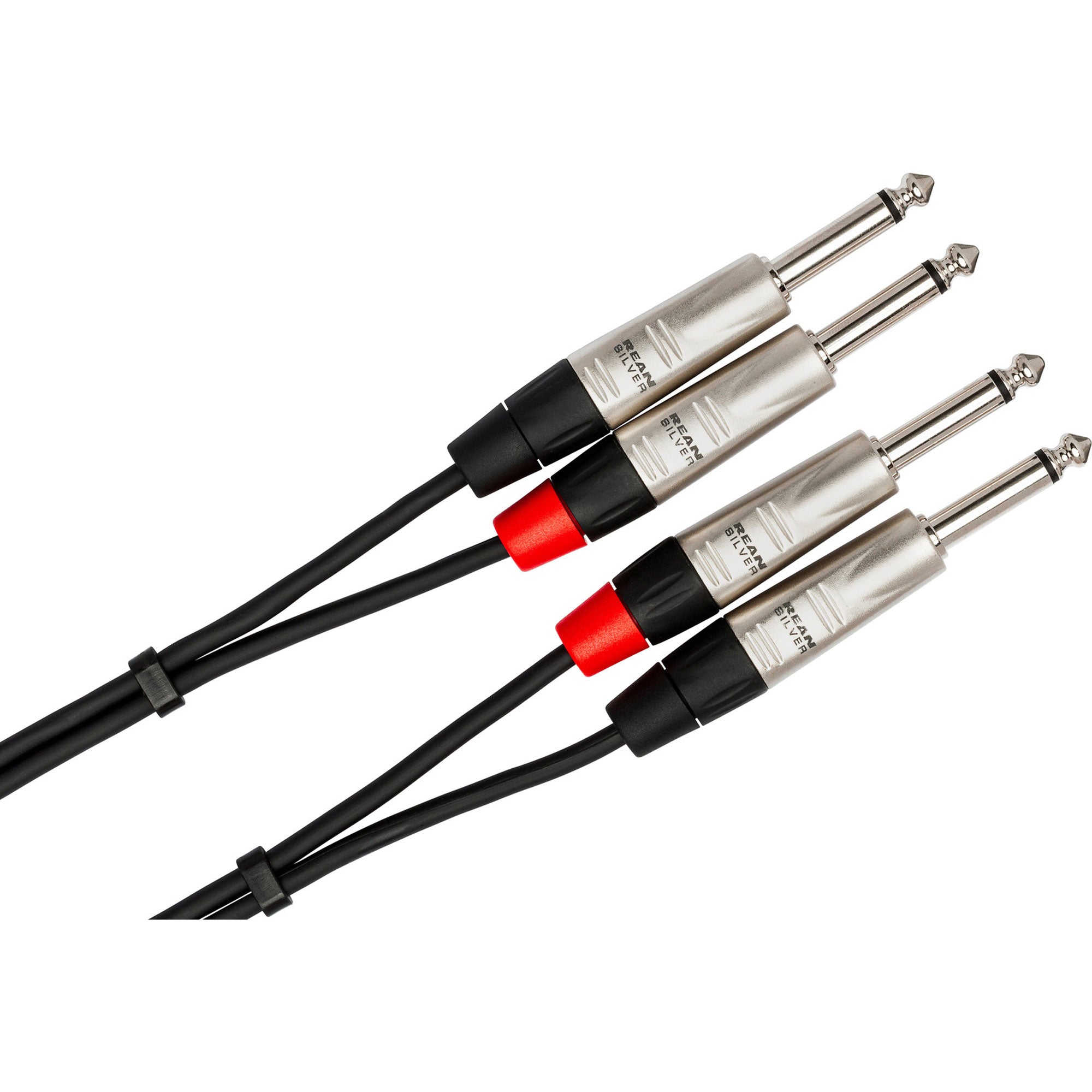 Hosa HPP-010X2 REAN Dual 1/4" TS to Dual 1/4" TS Pro Stereo Interconnect Cable (10')