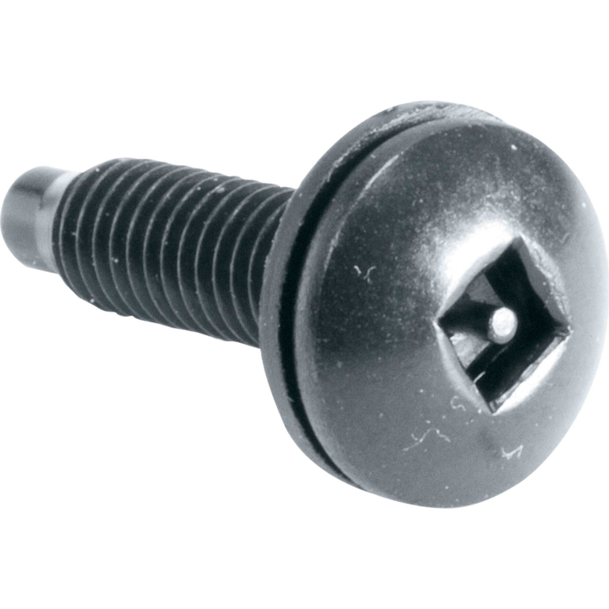 Middle Atlantic HSK Guardian Series Security Rack Screws (100 Pack)