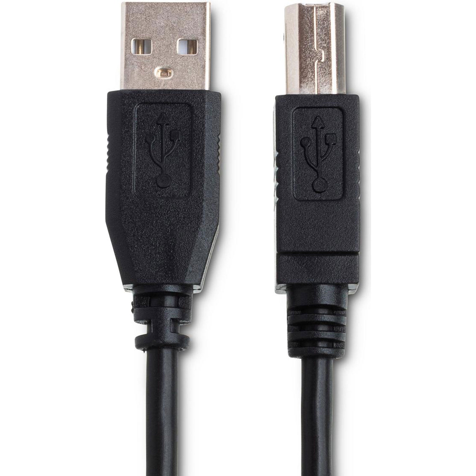Hosa USB-210AB High Speed Type A to Type B USB Cable (10')