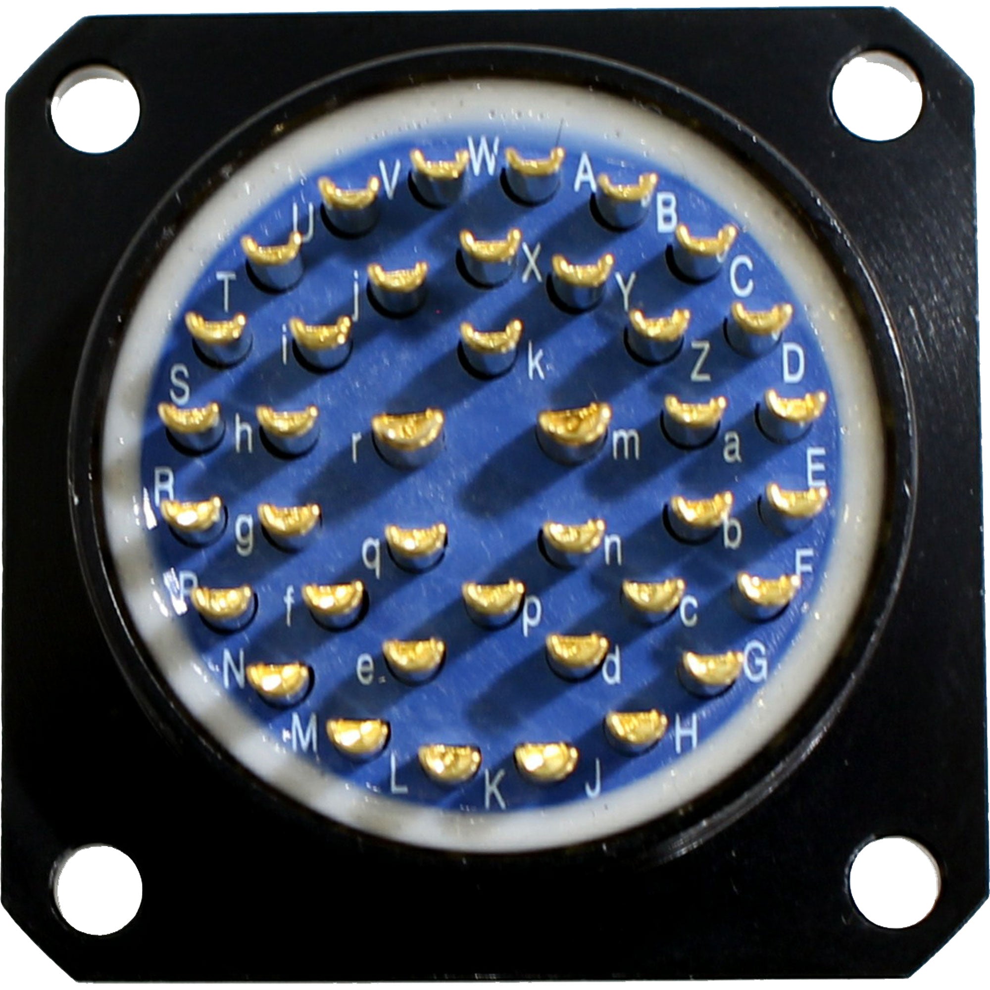 Best-Tronics BT39CF Chassis Mount 39 Pin Connector with Dust Cap and Wiring Kit (Female)