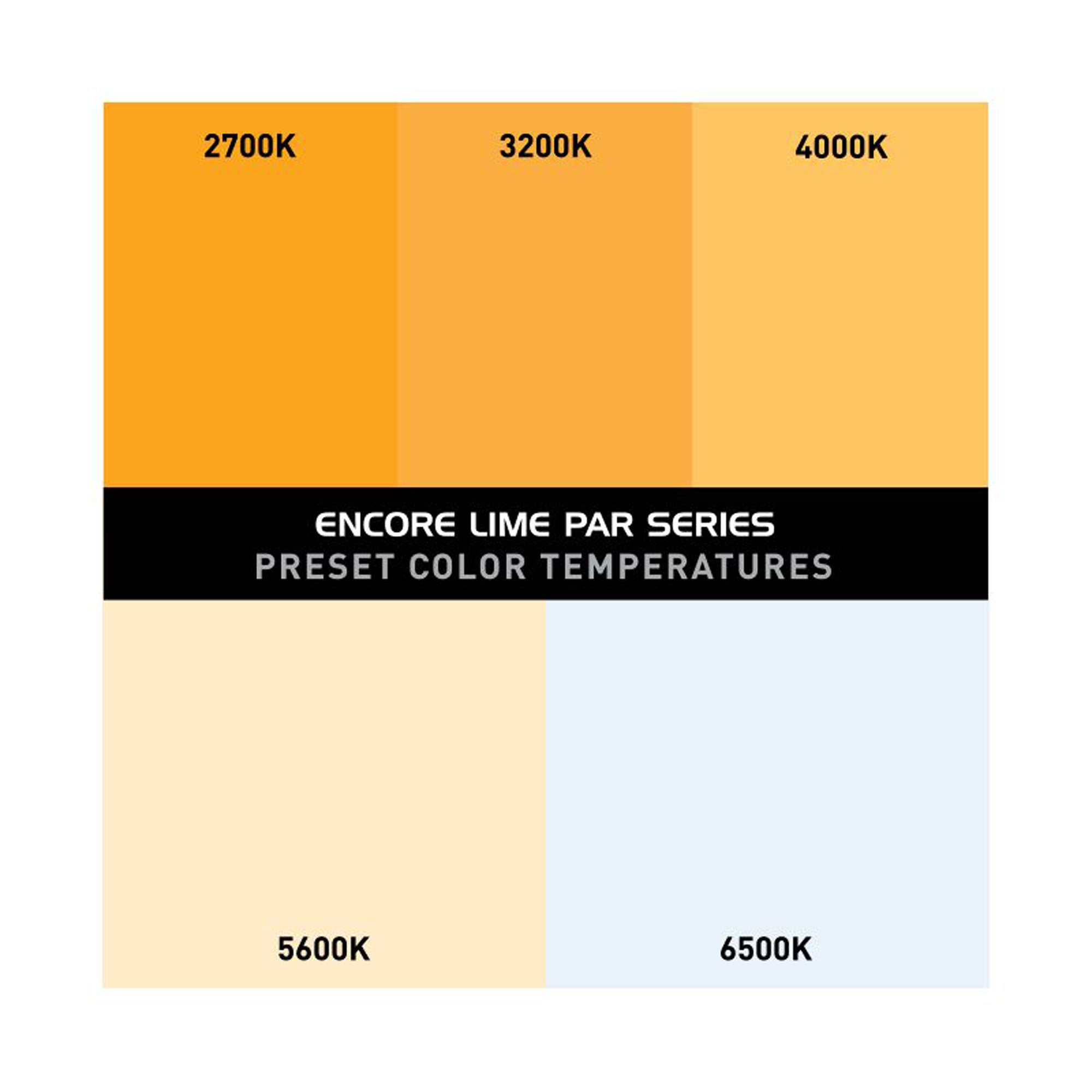 American DJ Encore LP18IP Heavy-Duty IP65 Outdoor Rated Par with 18 x 20 Watt Quad LEDs (RGBL)