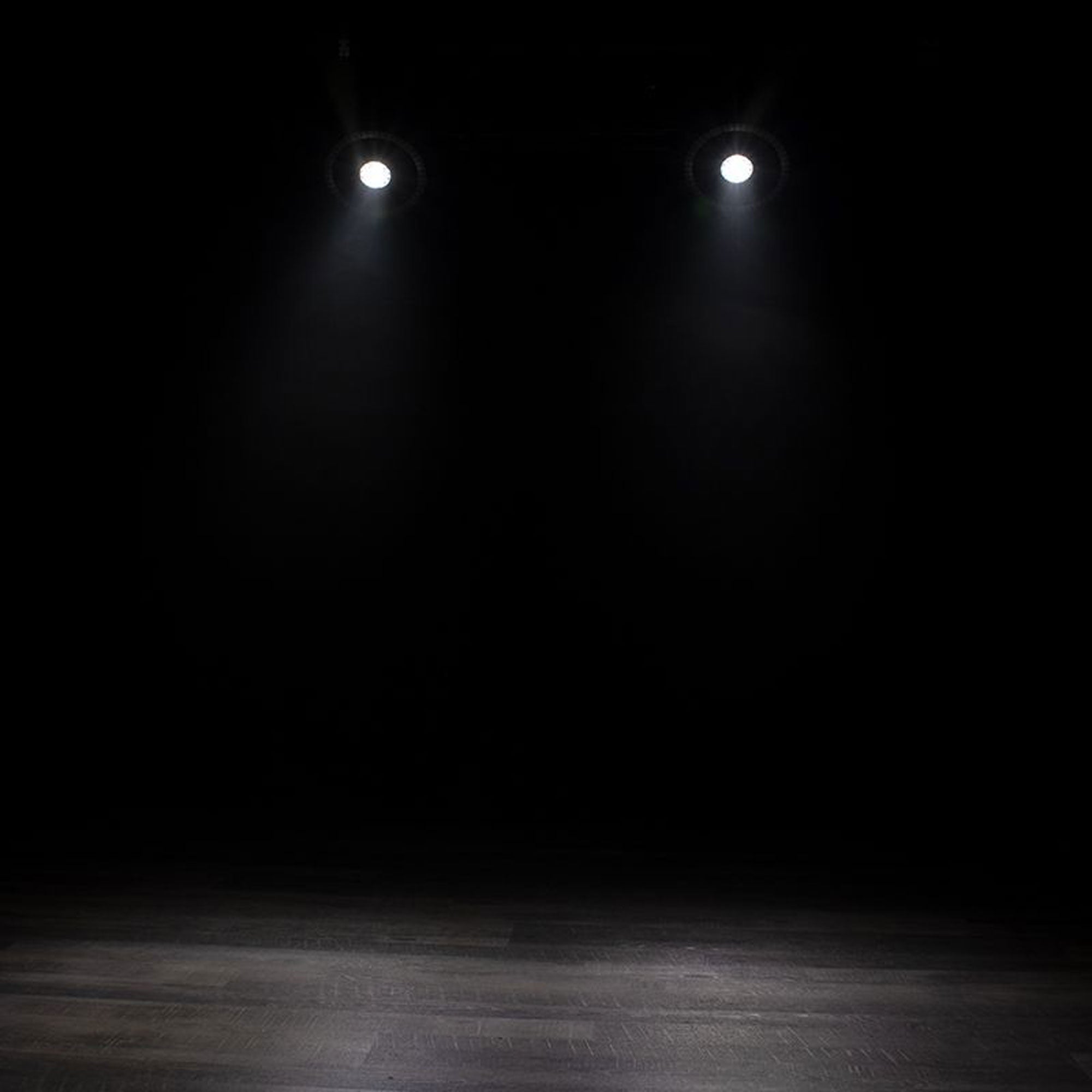 Eliminator Lighting Fantasy FX Dual-Effect Beam and Halo Lighting Fixture