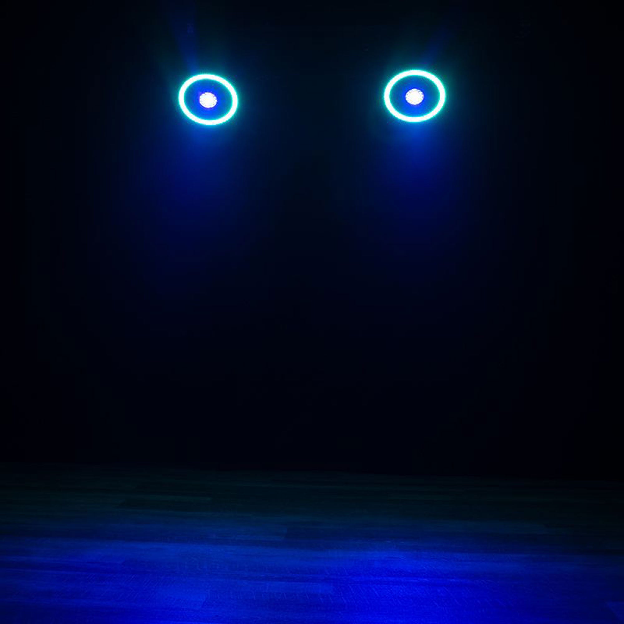 Eliminator Lighting Fantasy FX Dual-Effect Beam and Halo Lighting Fixture