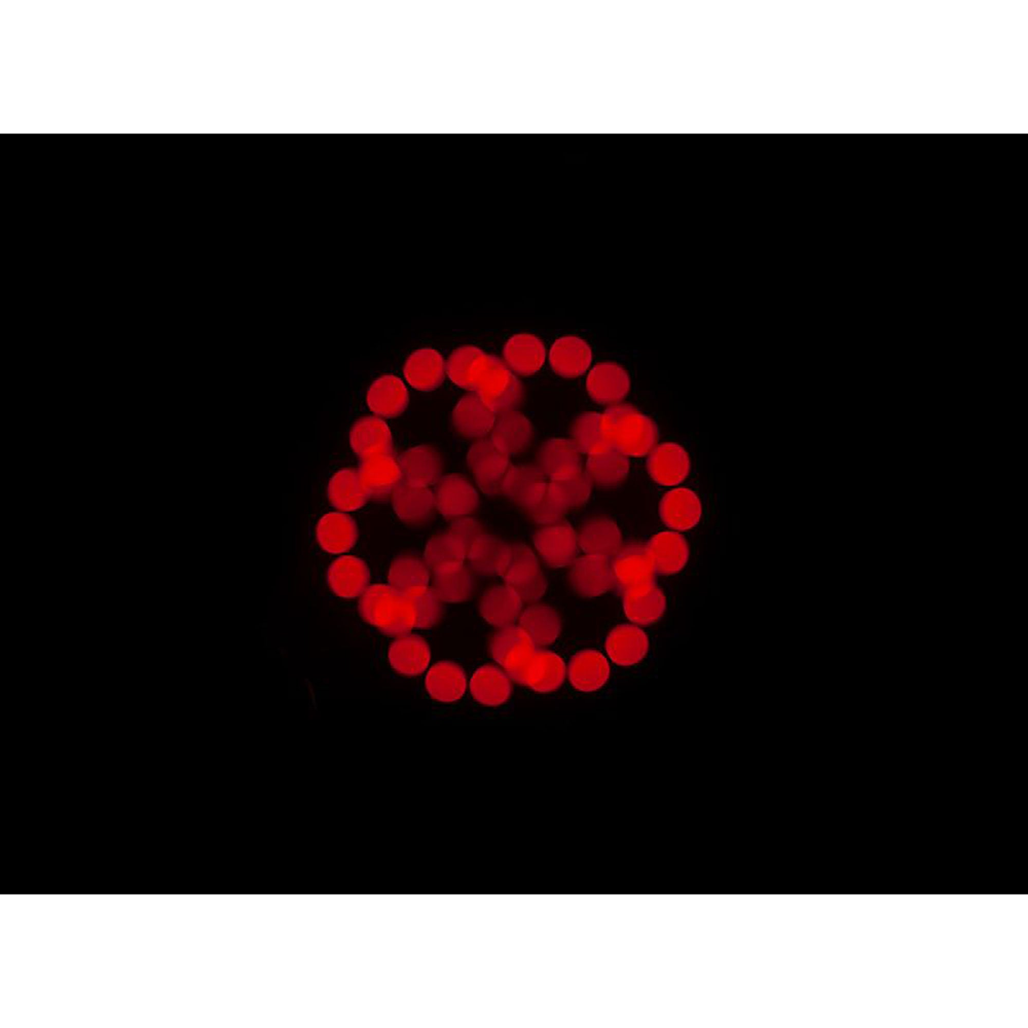 American DJ Focus Spot 5Z 200W LED Moving Head Light with Motorized Focus & Zoom