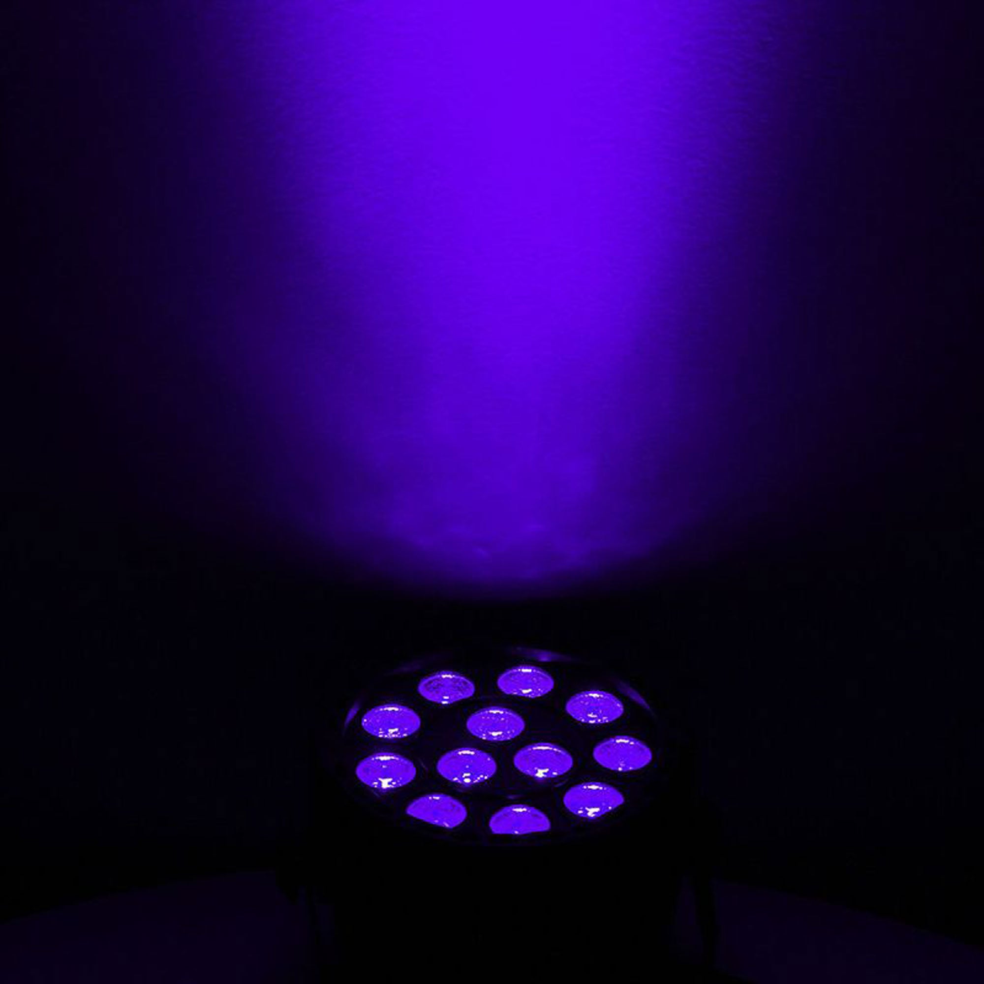 Eliminator Lighting Mini Par UV LED Blacklight Par Can Fixture