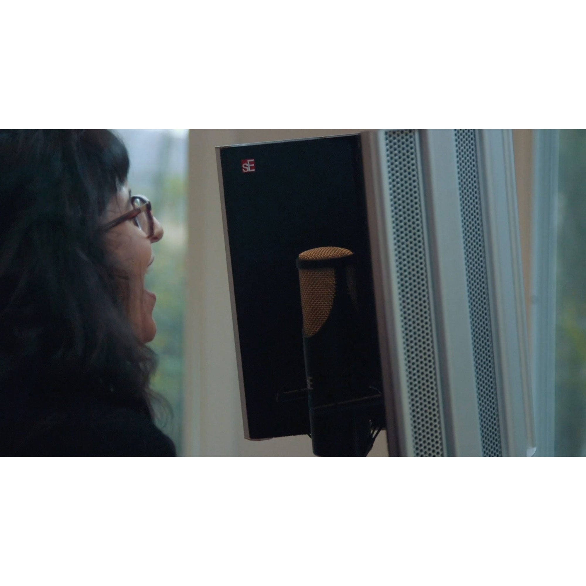 sE Electronics SPACE Next Generation Portable Acoustic Screen