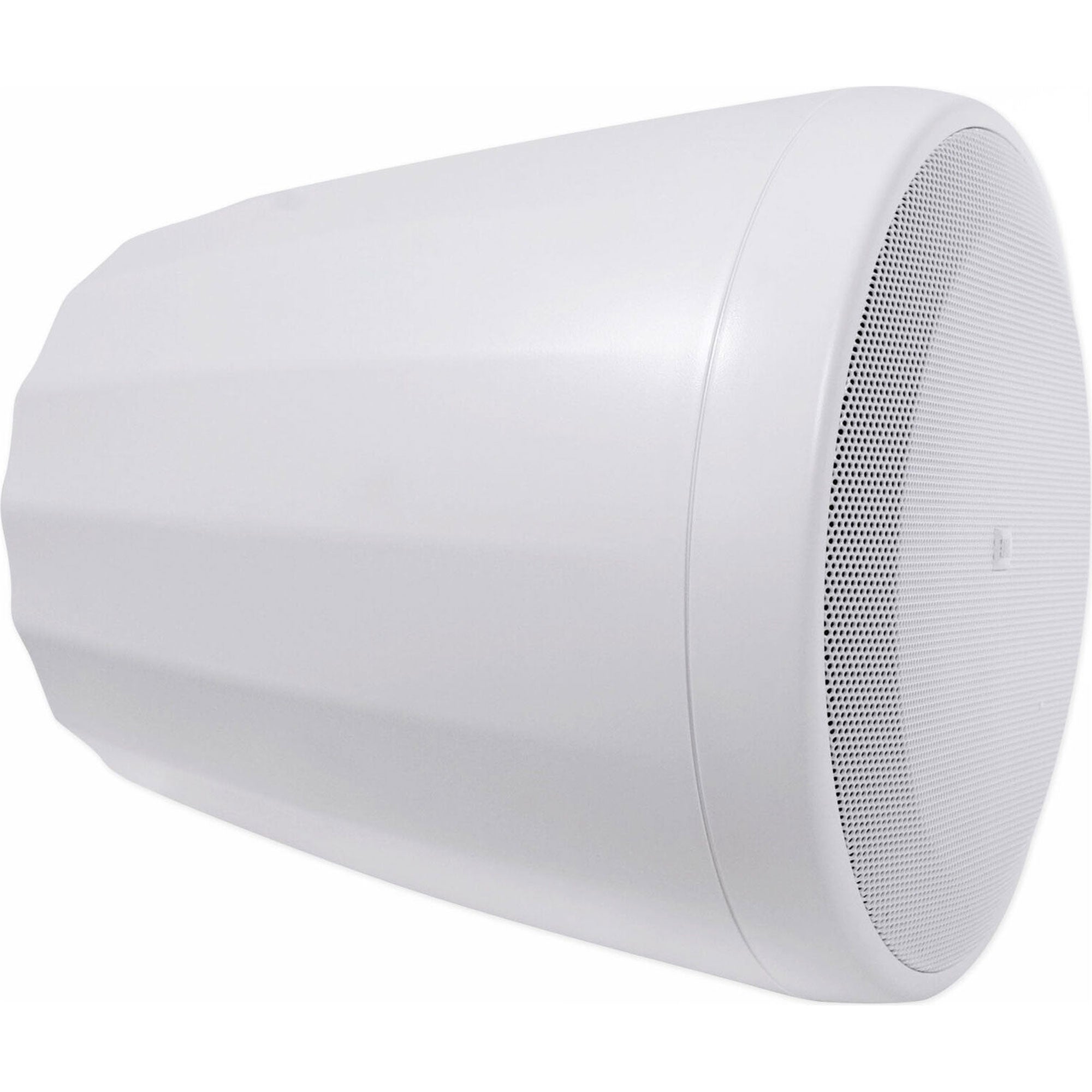 JBL Control 65P/T 5.25" Compact Full-Range Pendant Speaker (White, Pair)