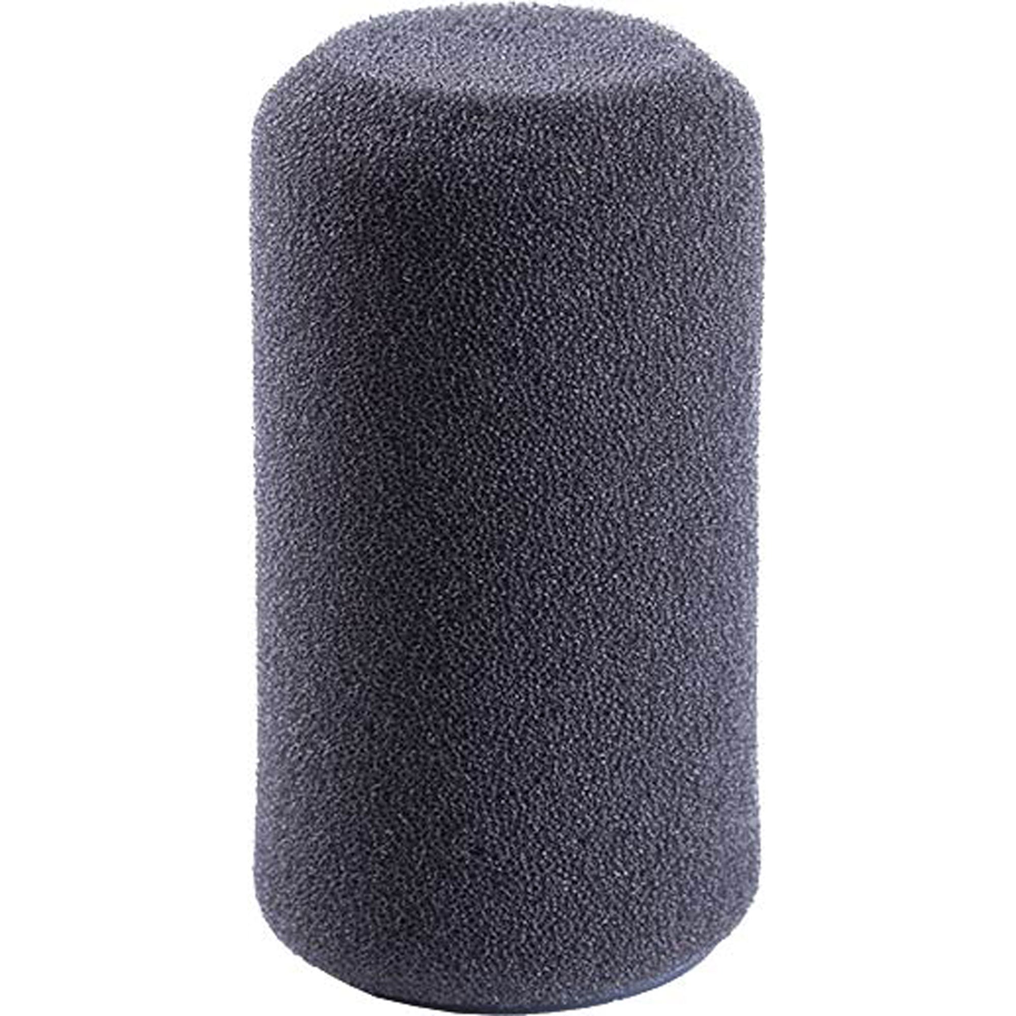 Schoeps B 1 D Windscreen