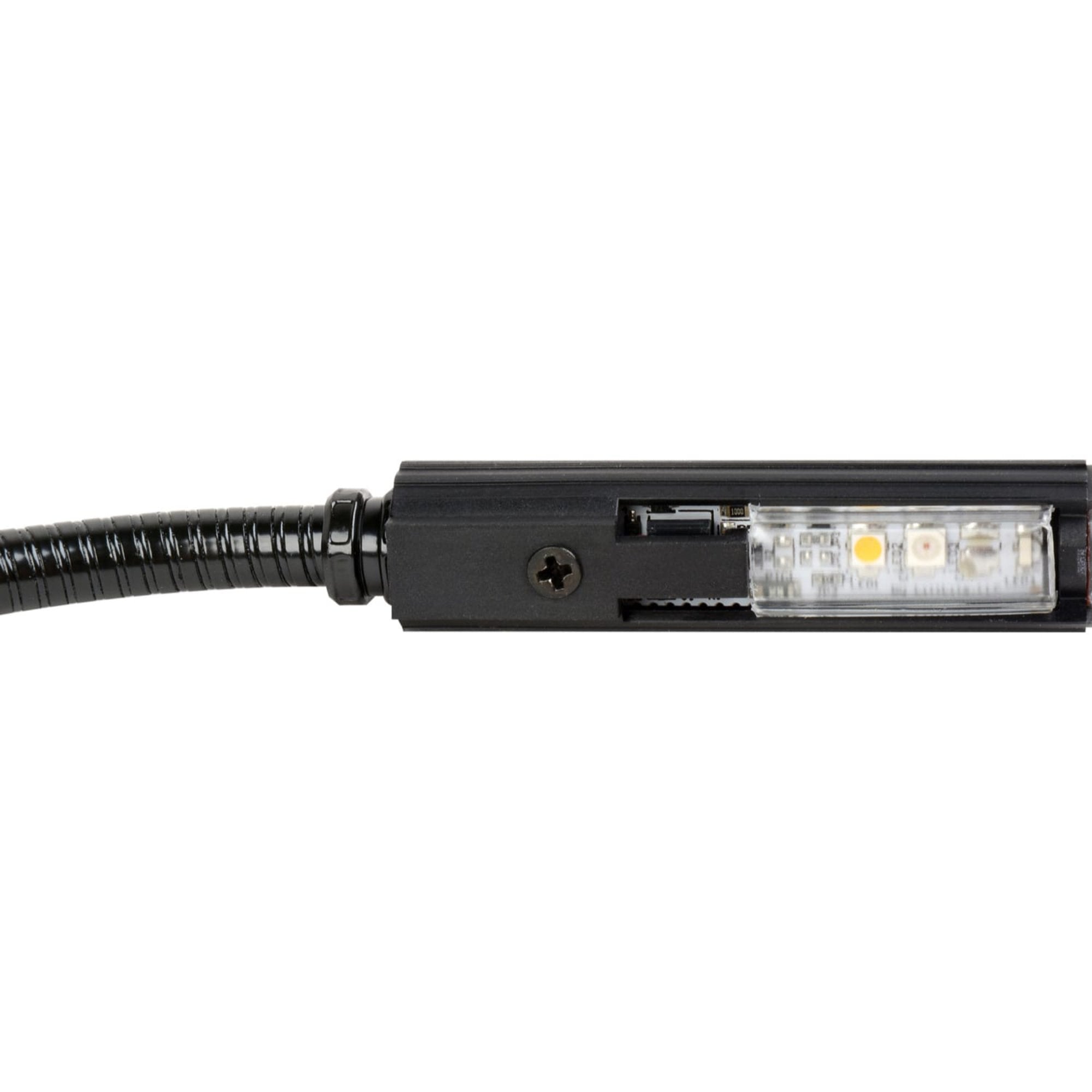 Littlite 12T-LED Gooseneck LED Lamp with TNC Connector (12")