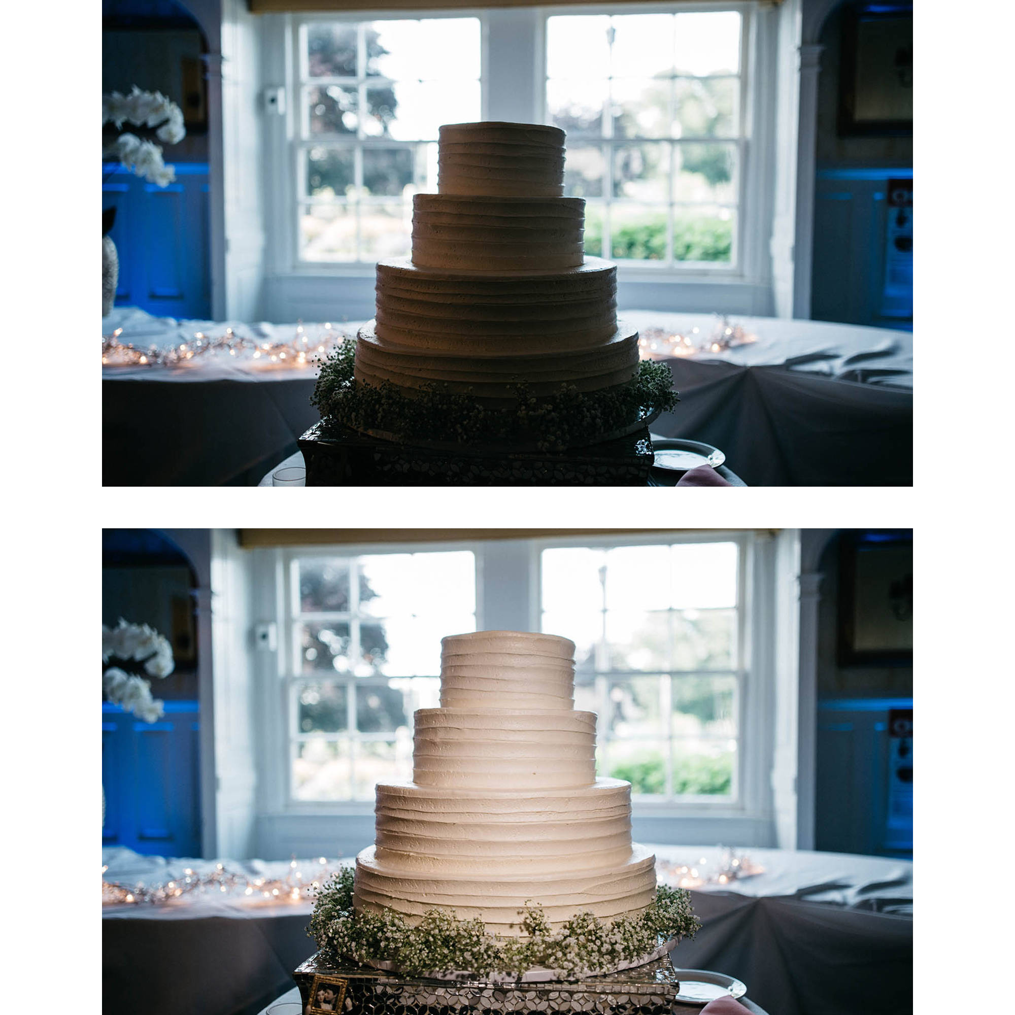 Lowel Go Lite Compact LED Light