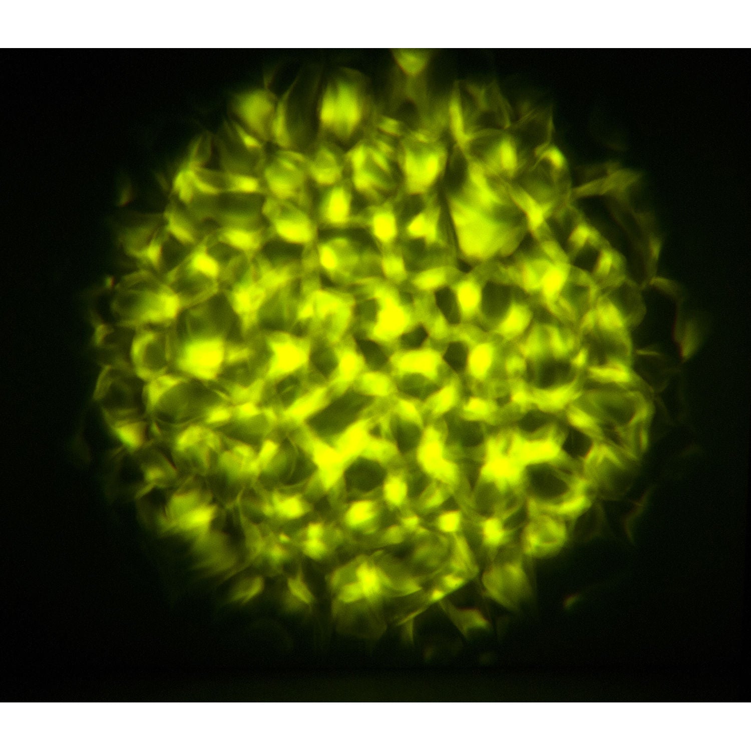 Eliminator Lighting Aqua LED 2 Multicolor Water Flowing Effect Light Fixture