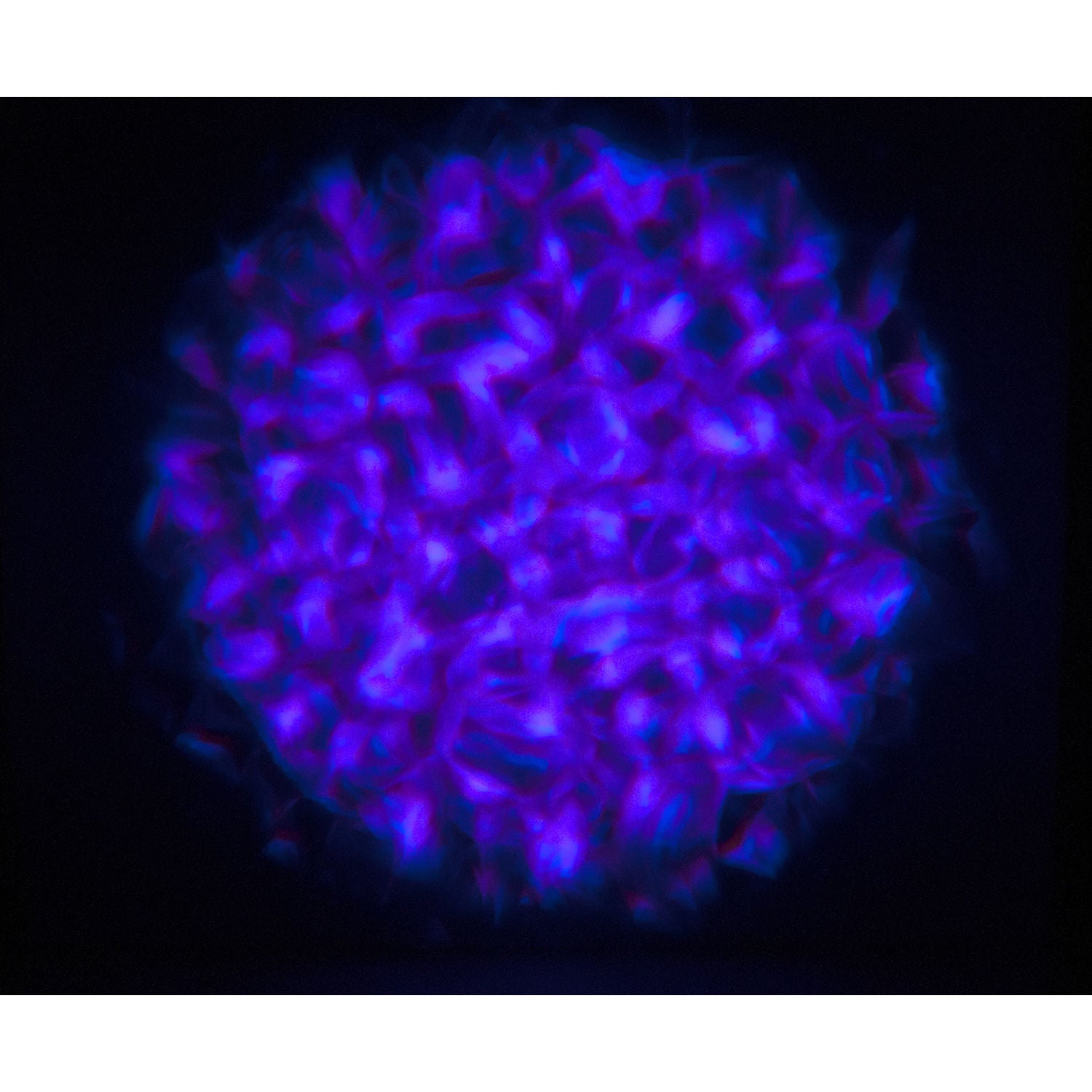 Eliminator Lighting Aqua LED 2 Multicolor Water Flowing Effect Light Fixture