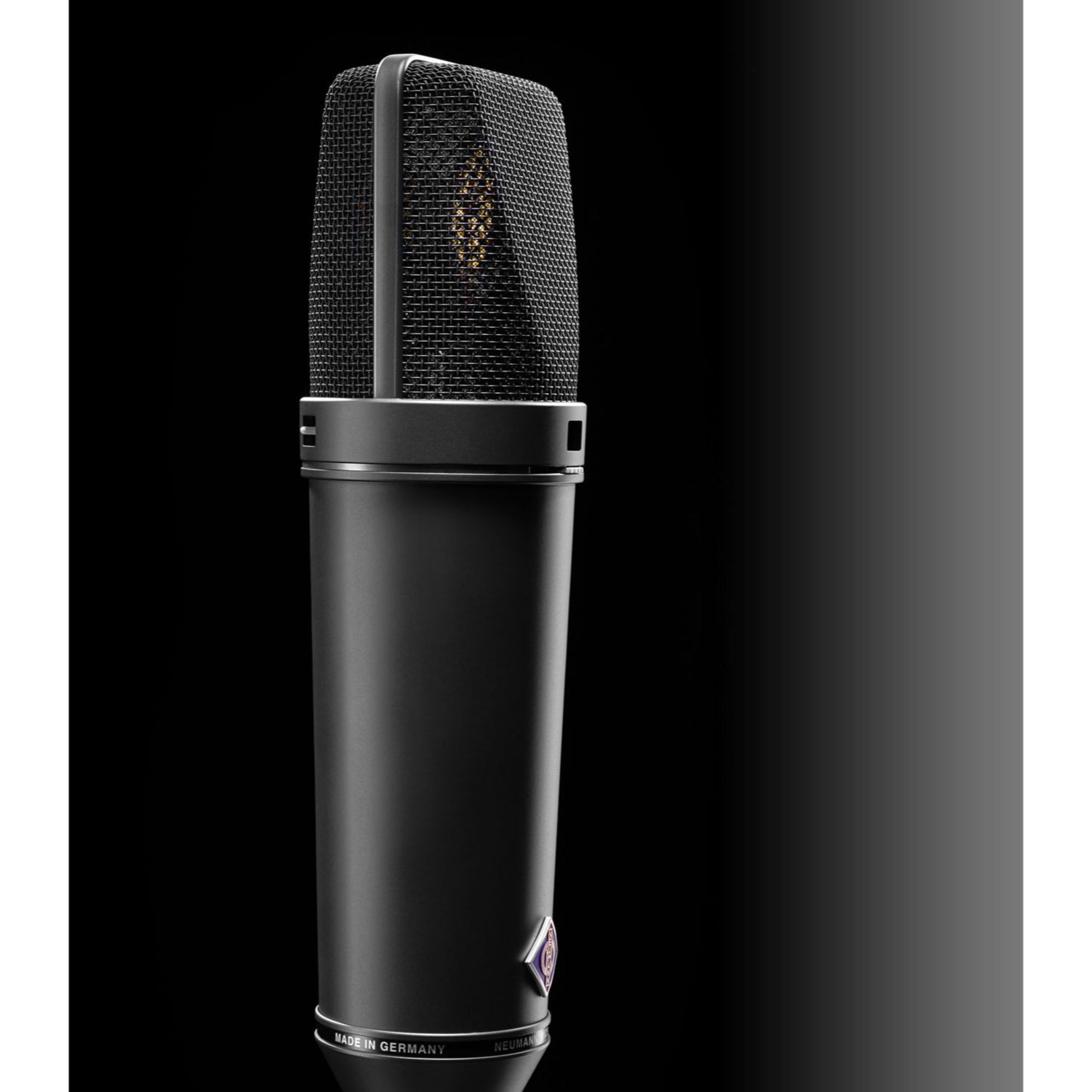 Neumann U 87 Ai Large-Diaphragm Multipattern Condenser Studio Microphone (Black)