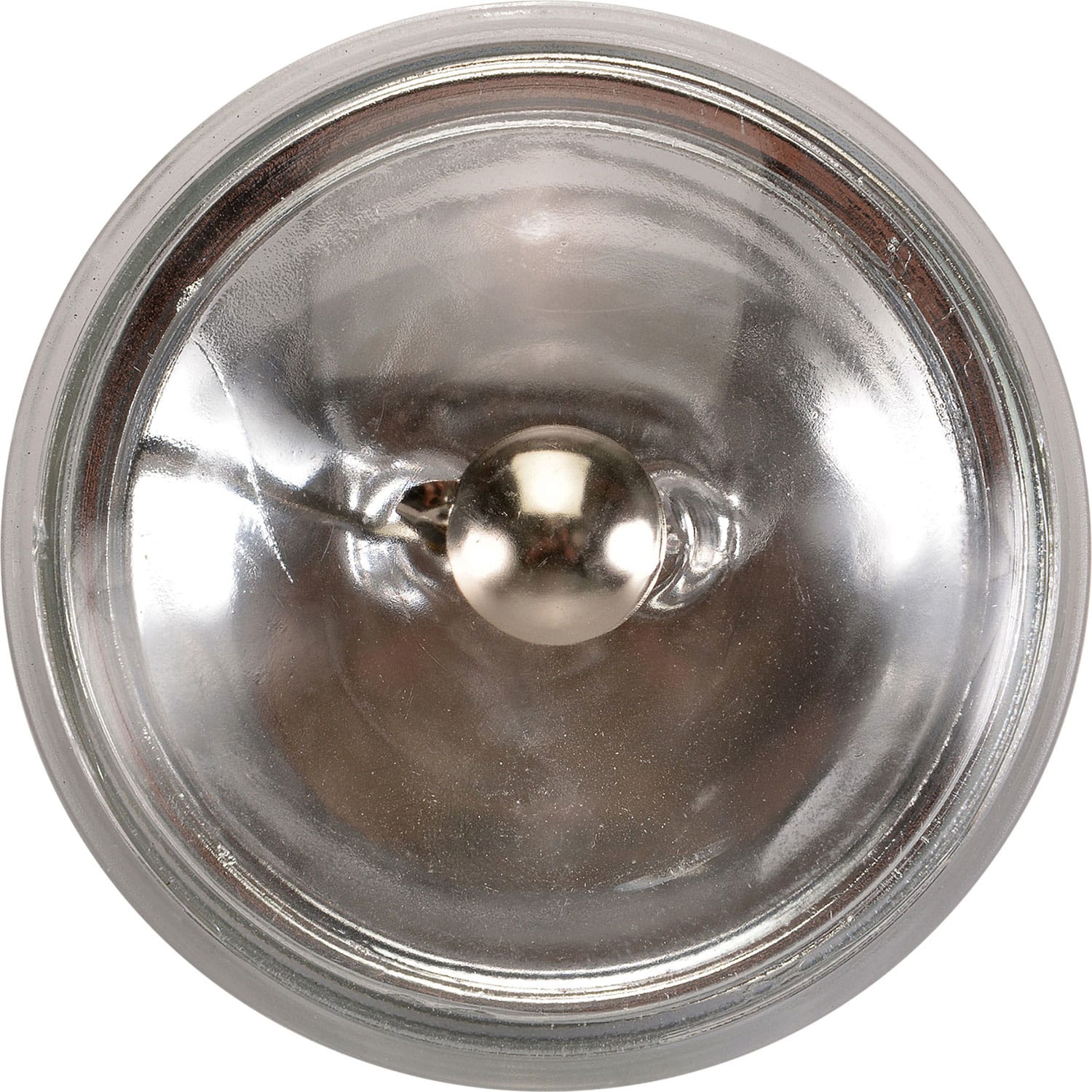 American DJ LL-4515 30 Watt Halogen Lamp