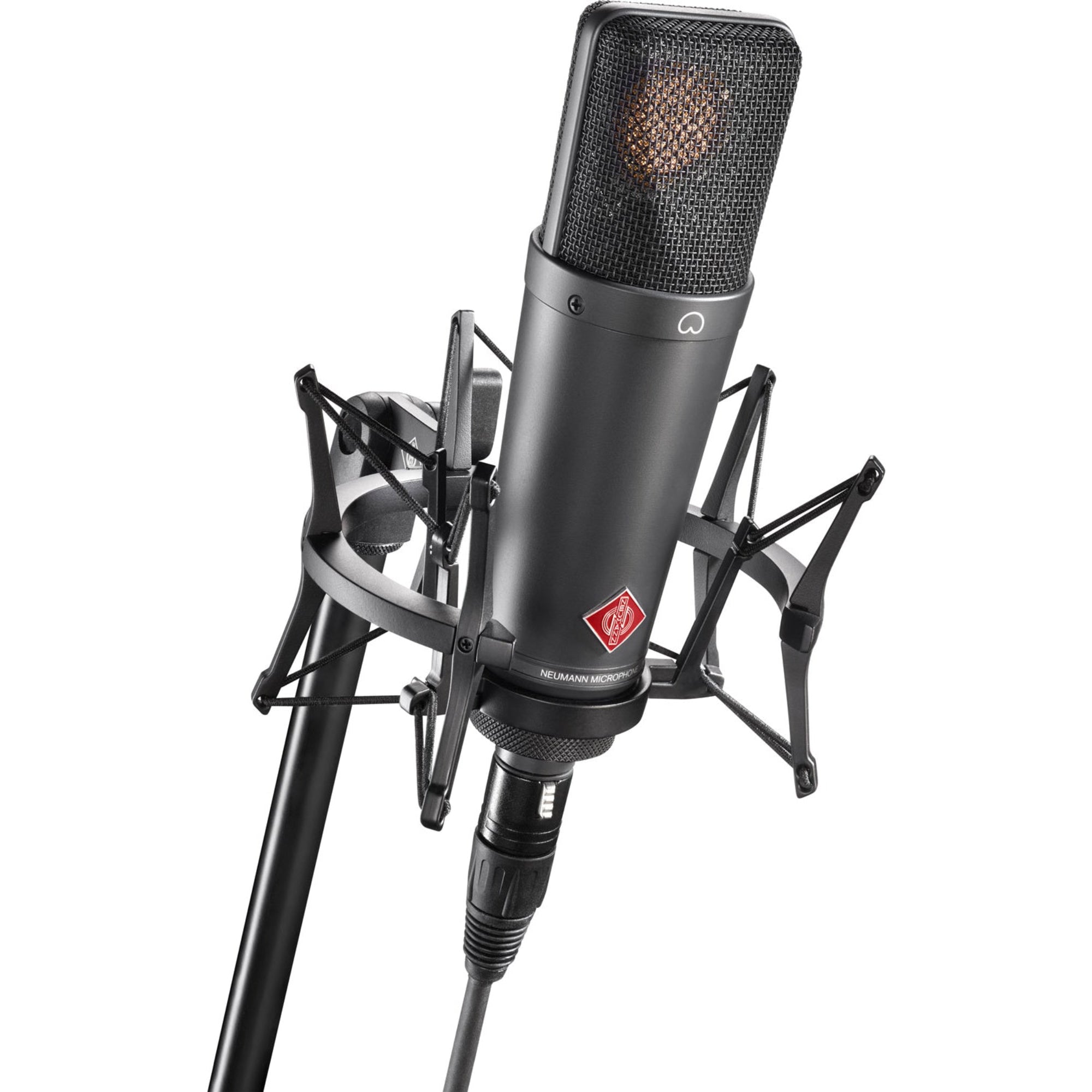 Neumann TLM 193 Large Diaphragm Condenser Microphone
