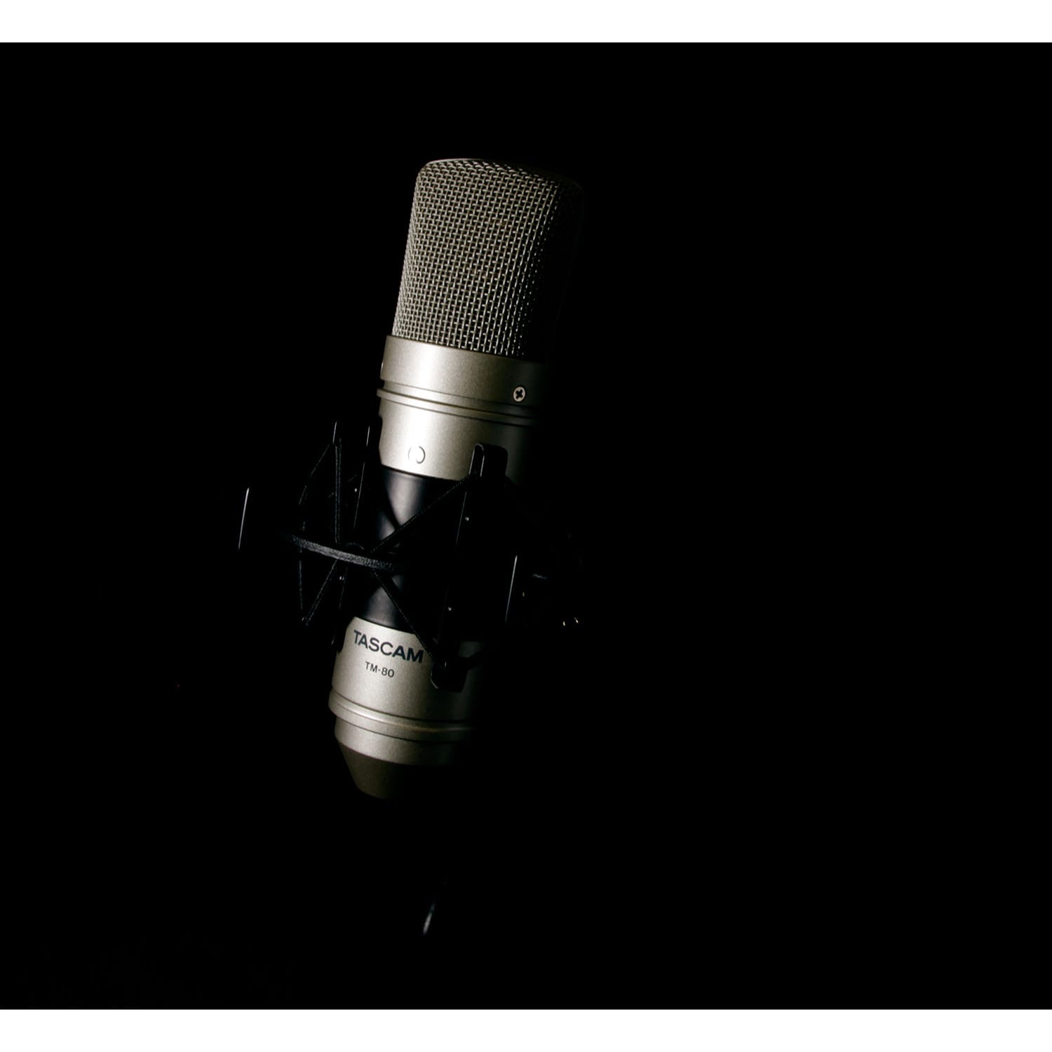 Tascam TM-80 Large-Diaphragm Cardioid Condenser Microphone