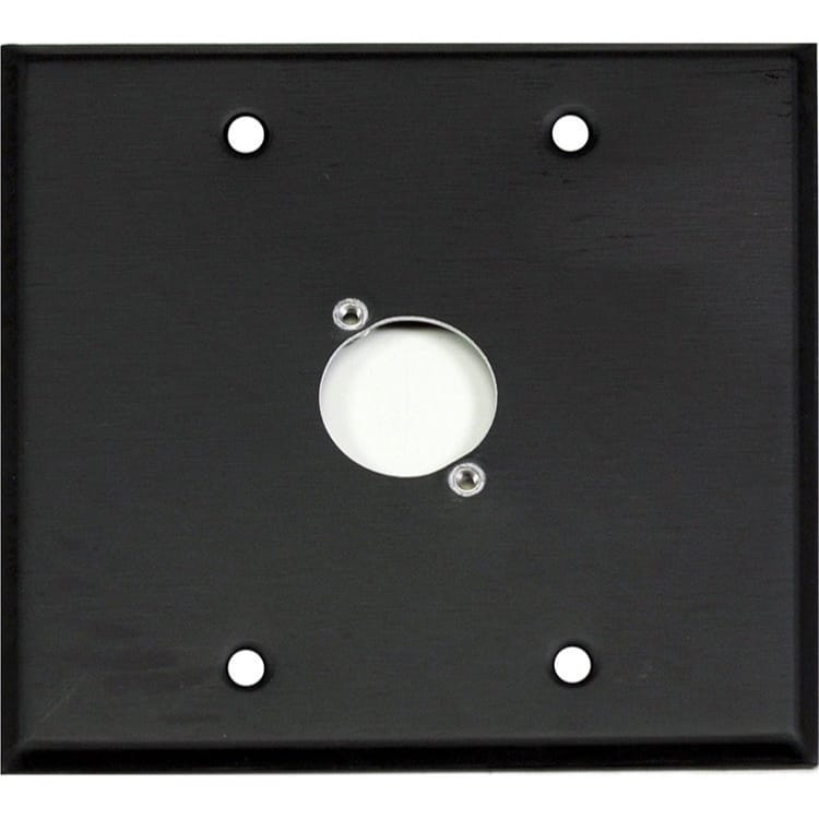Whirlwind WP2B/1NDH 2-Gang Wall Plate Punched for 1 Neutrik XLR Terminal (Black)