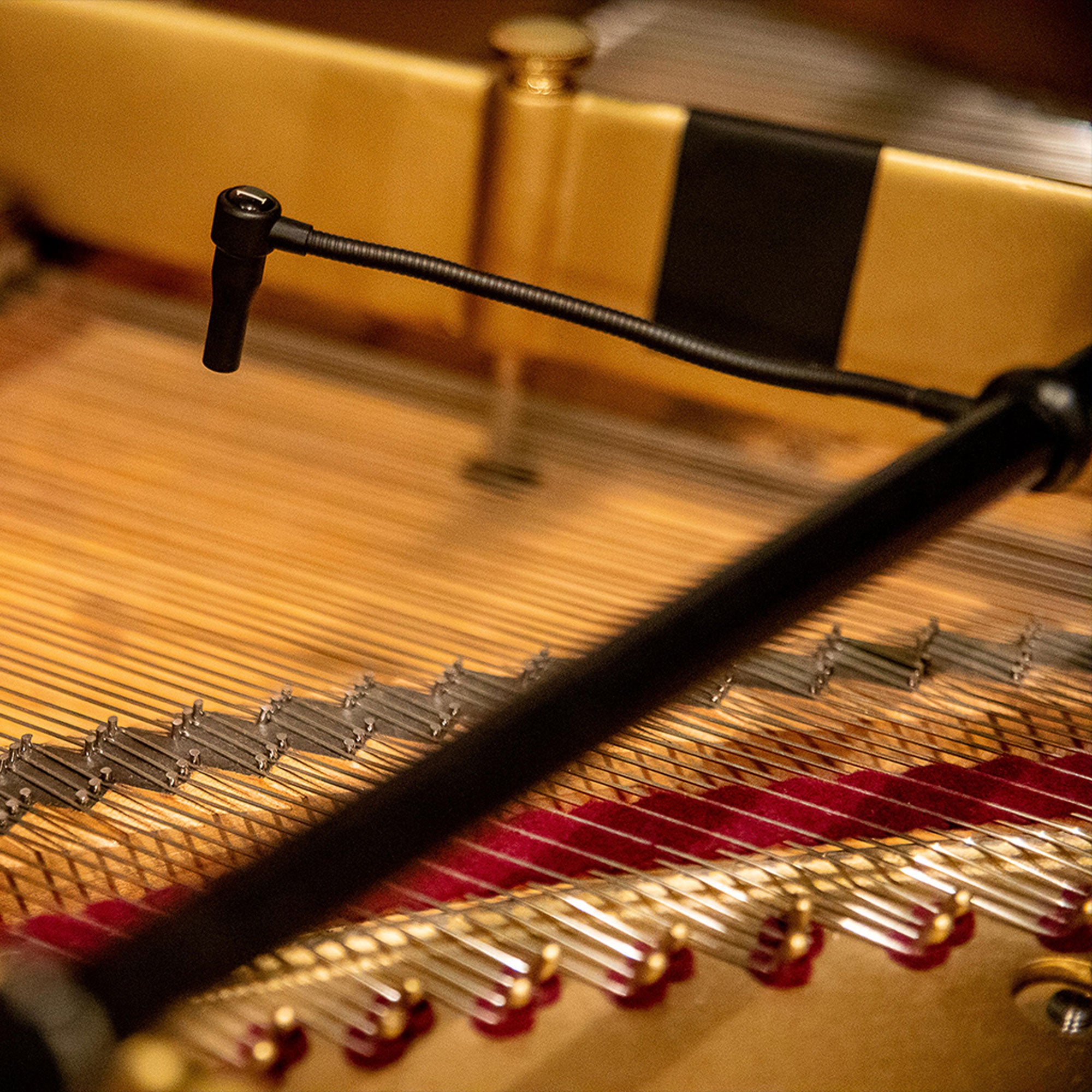 Earthworks PM40 PianoMic High Definition Microphone System