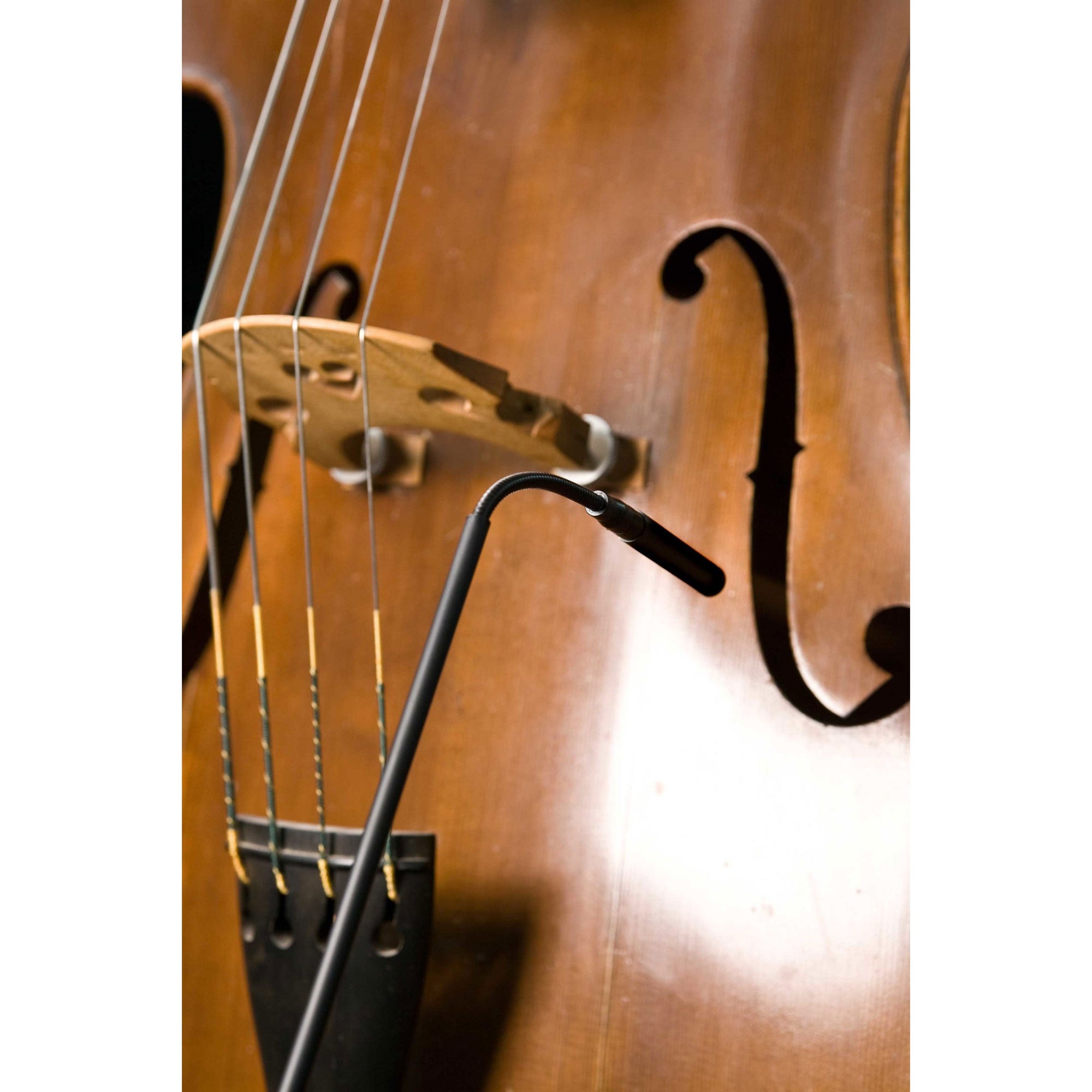 Audix M1280BHC Miniature Hypercardioid Condenser Microphone (Black)