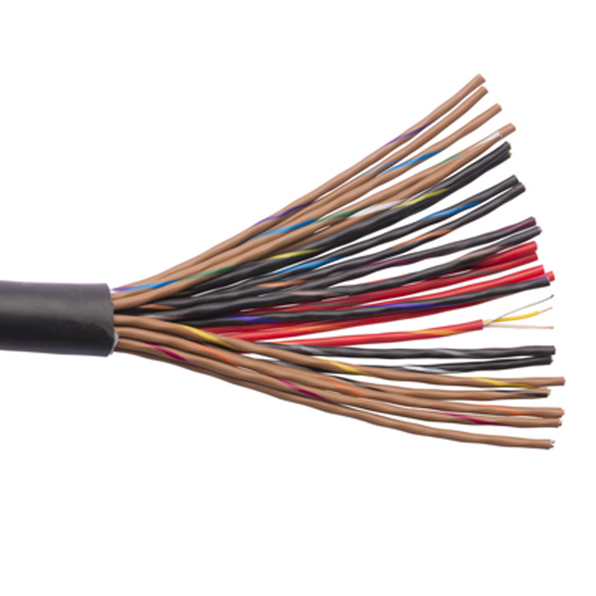 Canare MR202-24AT 24-Channel Twisted Pair Audio Snake Cable with Foil Shield (Black, 328'/100m)