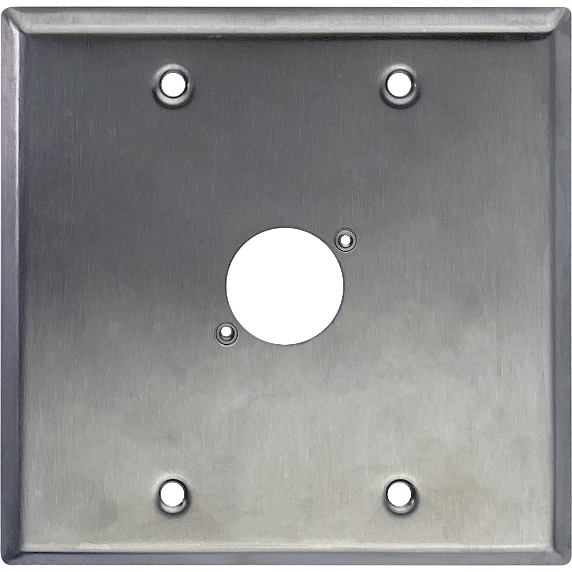 Whirlwind WP2/1NDH 2-Gang Wall Plate Punched for 1 Neutrik XLR Terminal (Stainless Steel)
