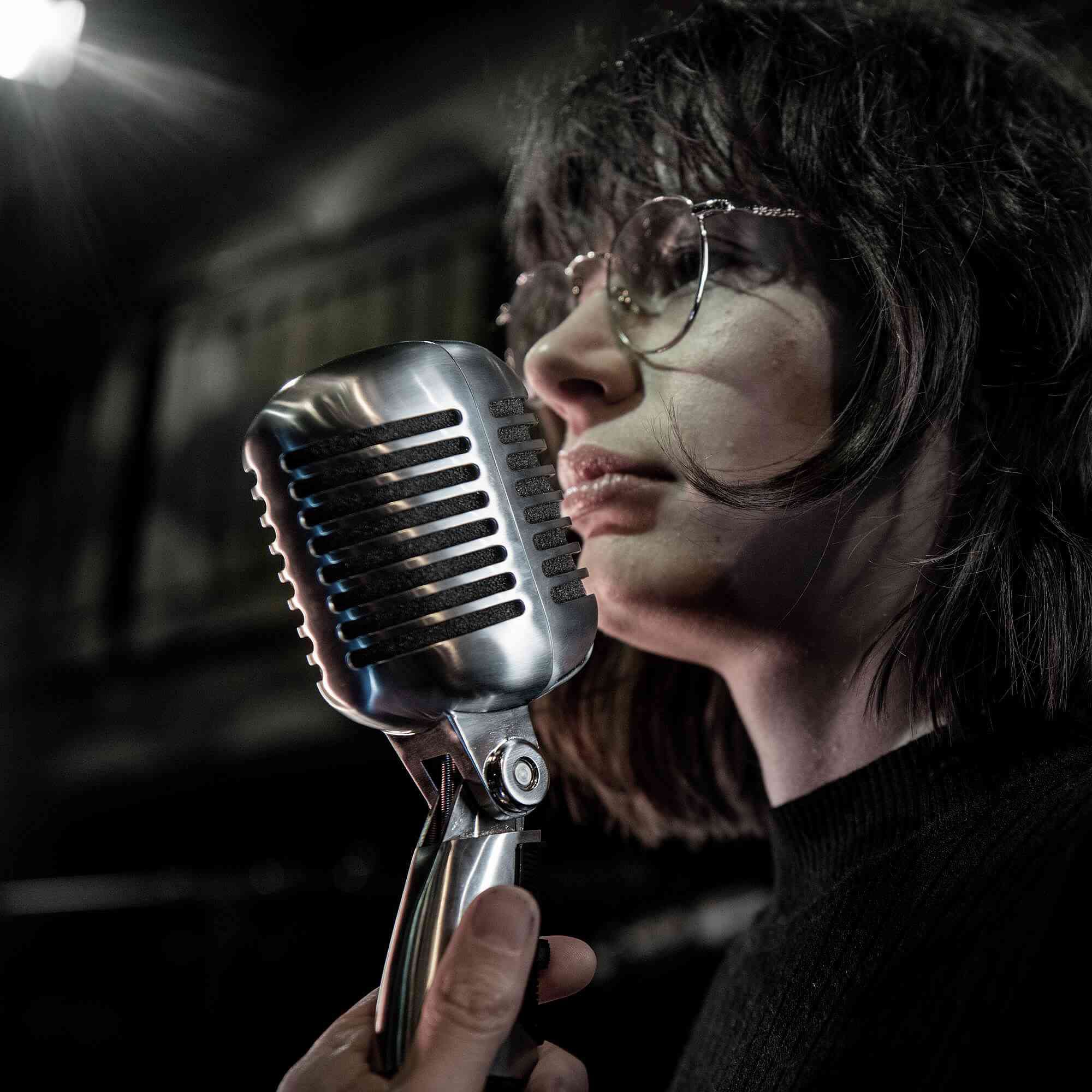 Shure 55SH Series II Iconic Unidyne Vocal Microphone