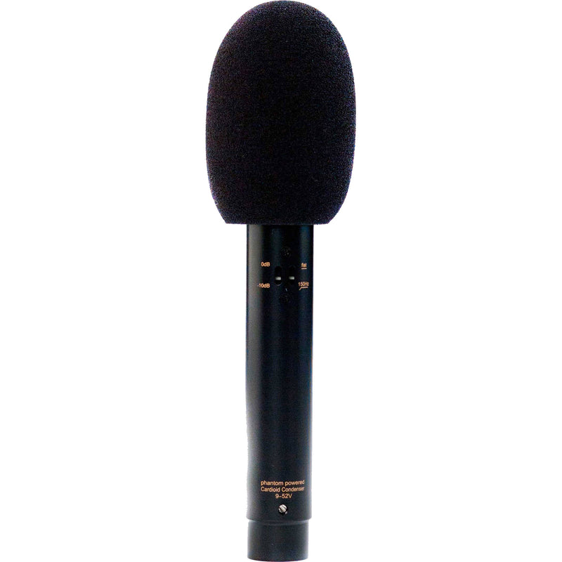 Audix ADX51 Condenser Instrument Microphone with FREE 20' XLR Cable