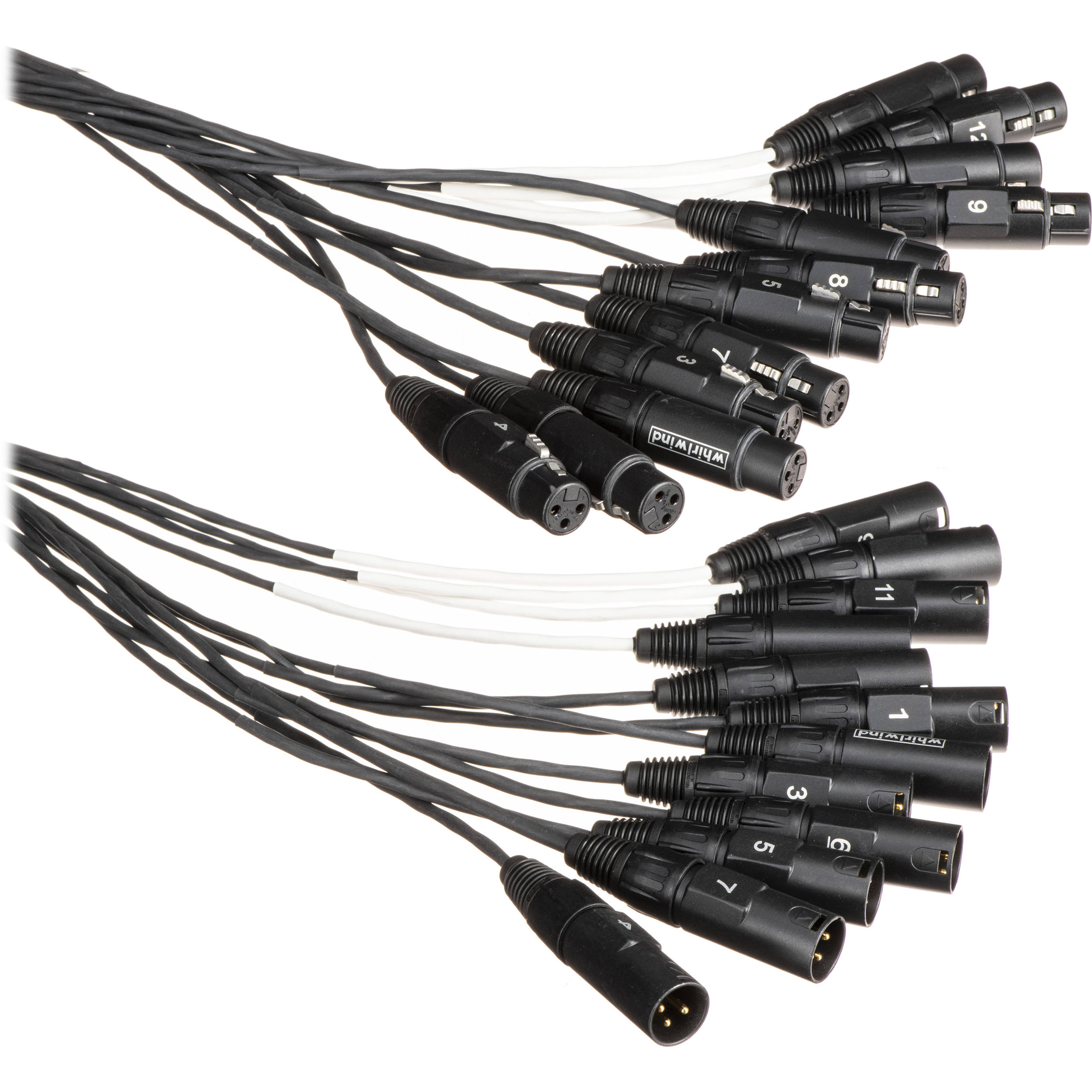 Whirlwind MT-12-F-M-10 Medusa Multitrack Audio Snake Cable 12 XLRF to 12 XLRM (10')