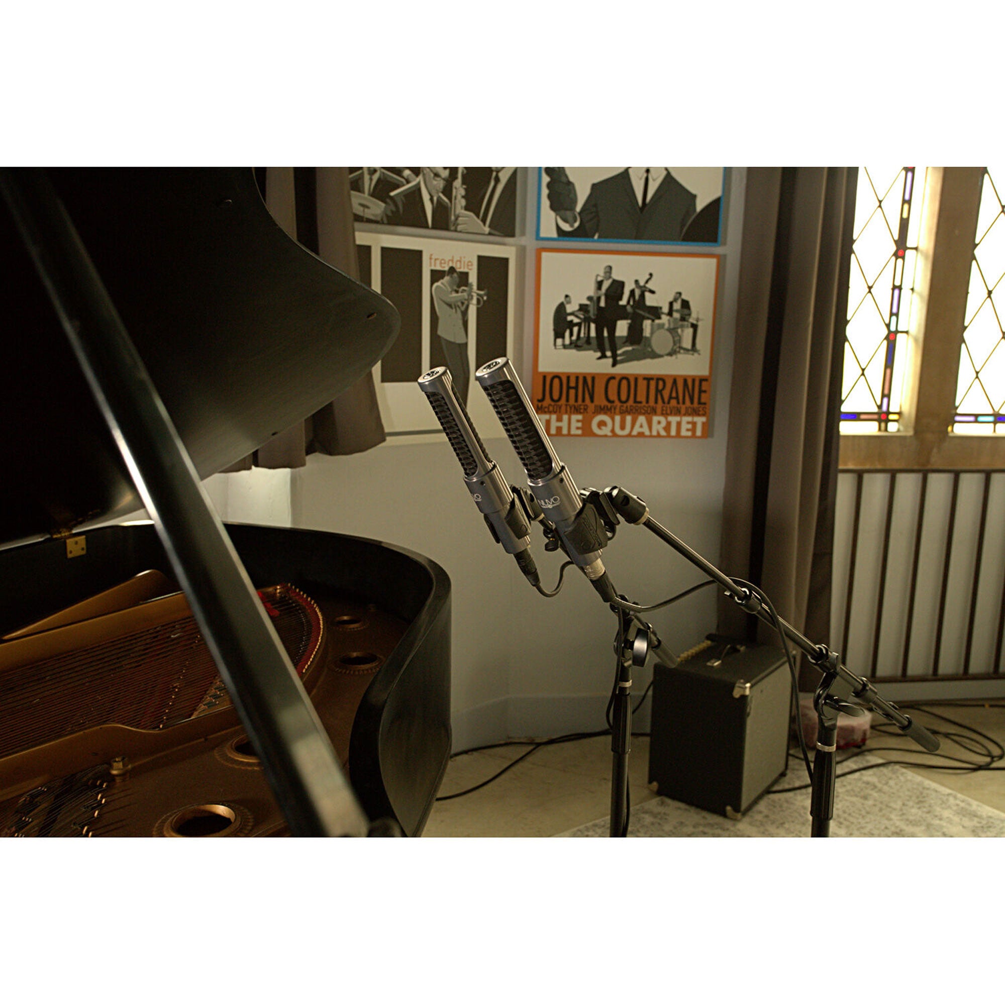 AEA NUVO N13 Active Mid-Field Ribbon Microphone