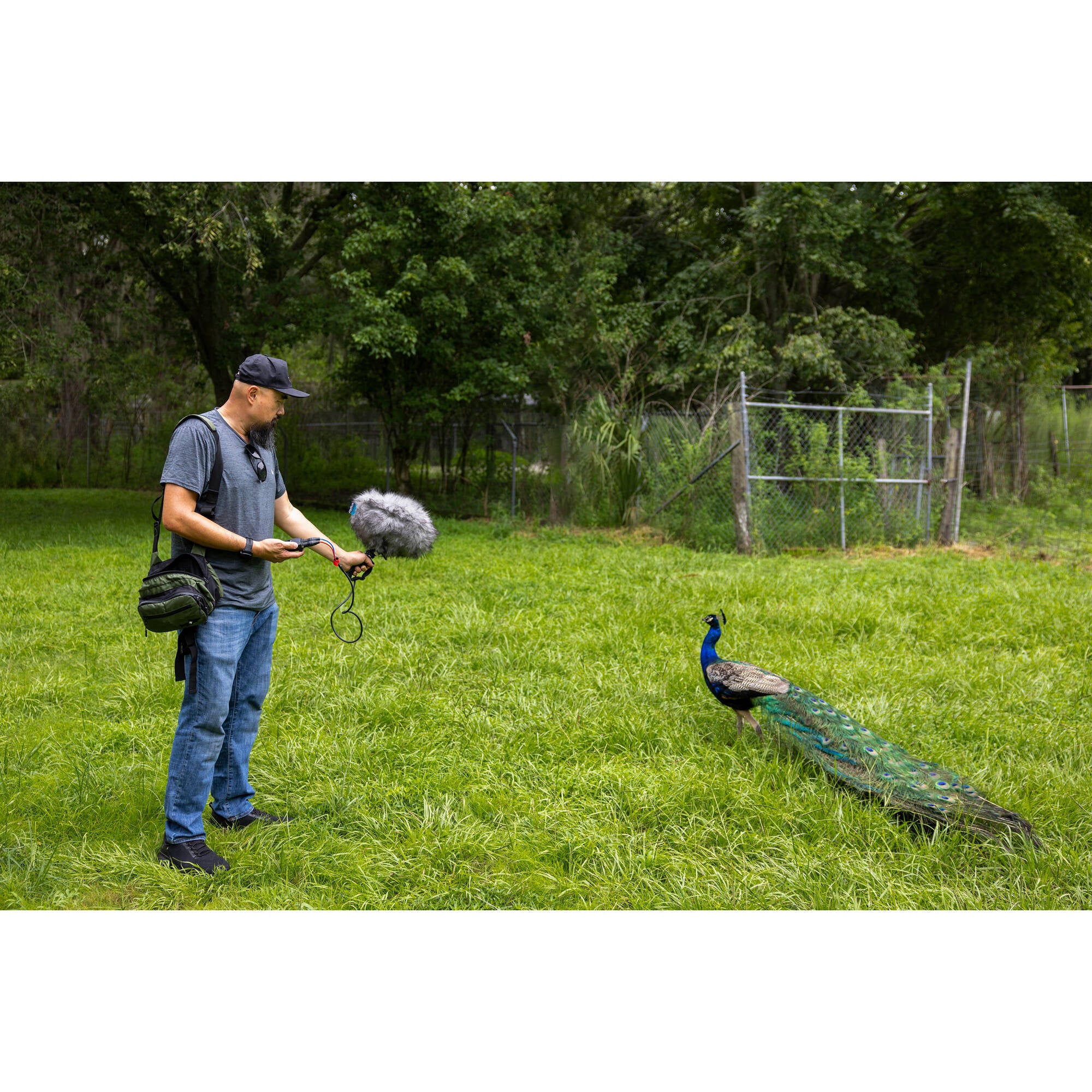 Zoom H1 XLR Portable Audio Recorder for Video