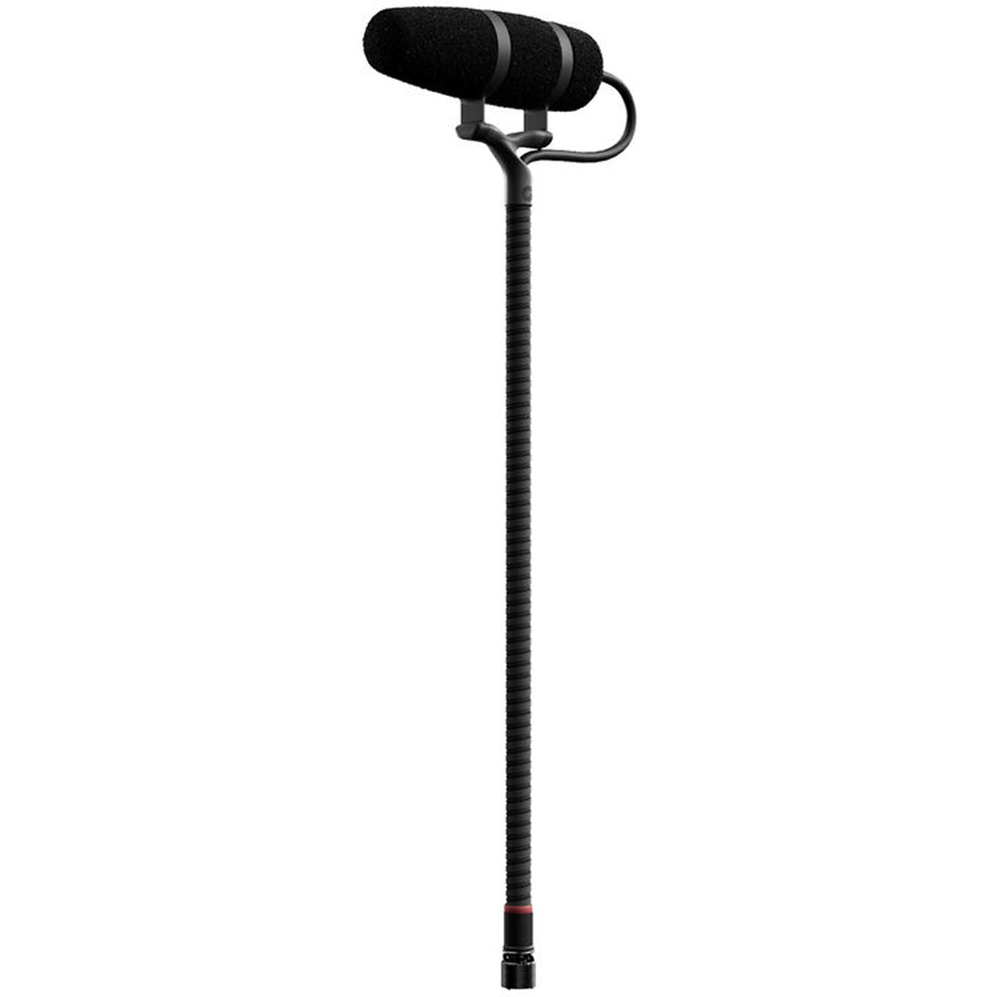 DPA Microphones 4099 CORE+ Supercardioid Instrument Microphone (Loud SPL) Image 1