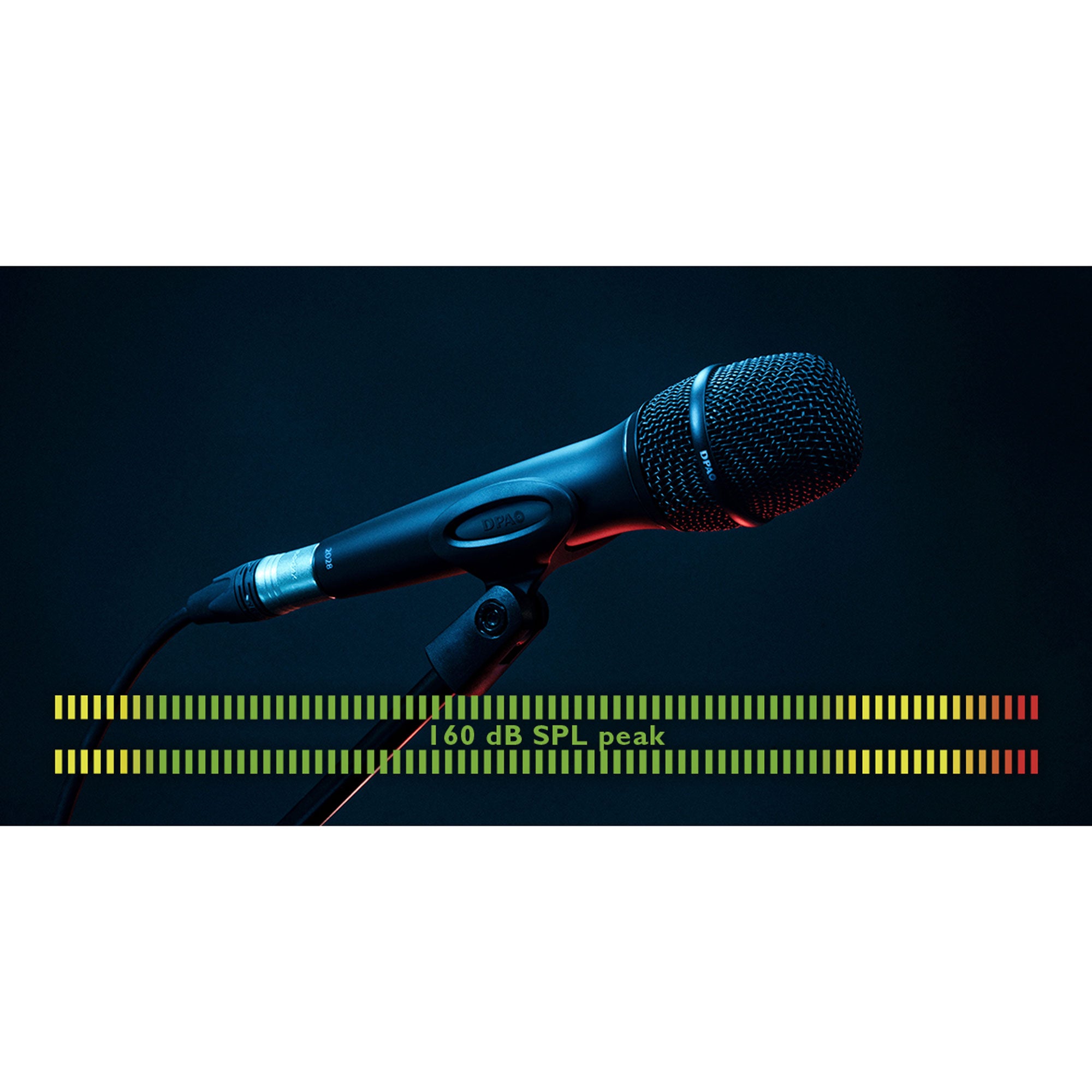 DPA 2028 Supercardioid Vocal Handheld Condenser Microphone (Black)