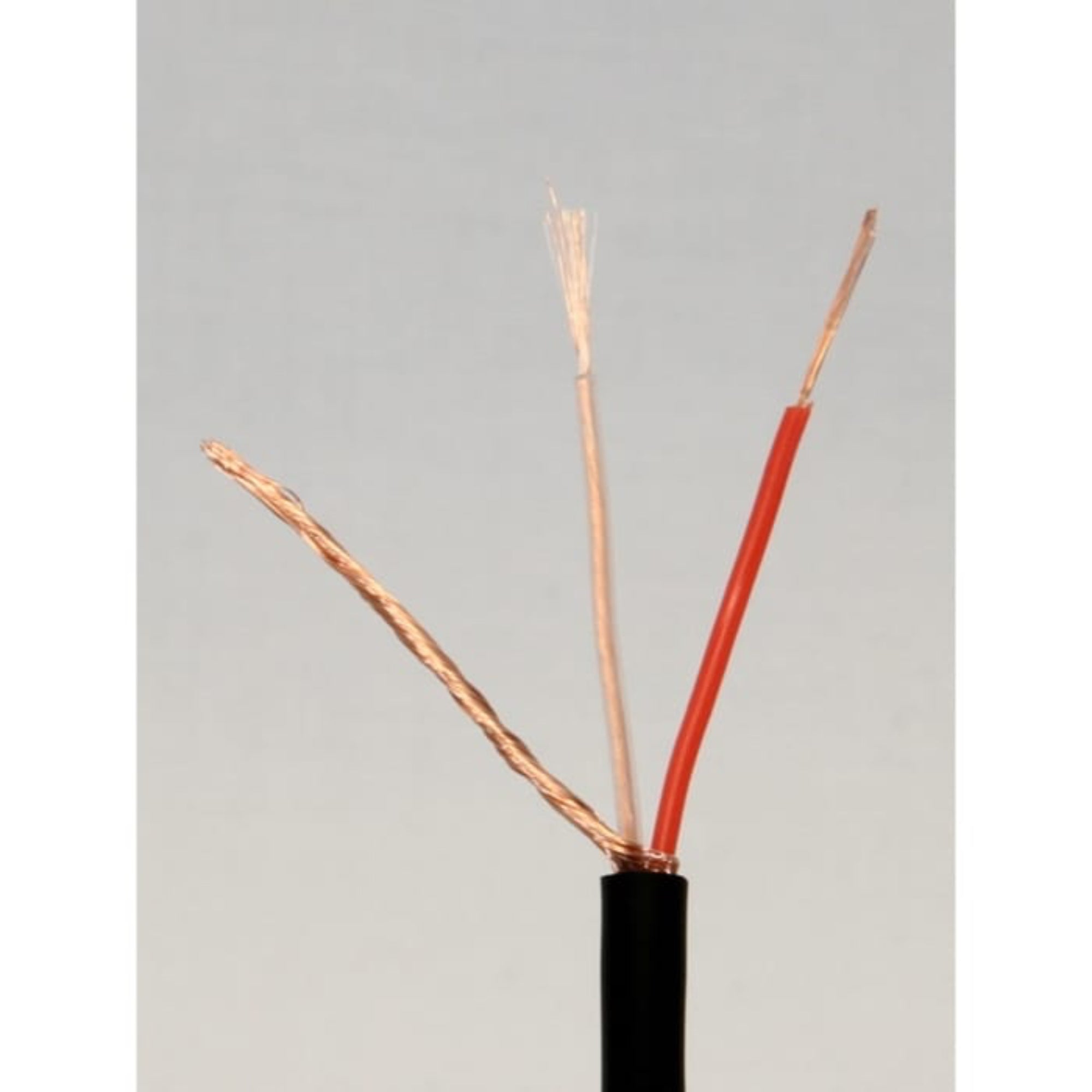 Mogami W2552 Superflexible Microphone Cable (Black, 164'/50m Roll)