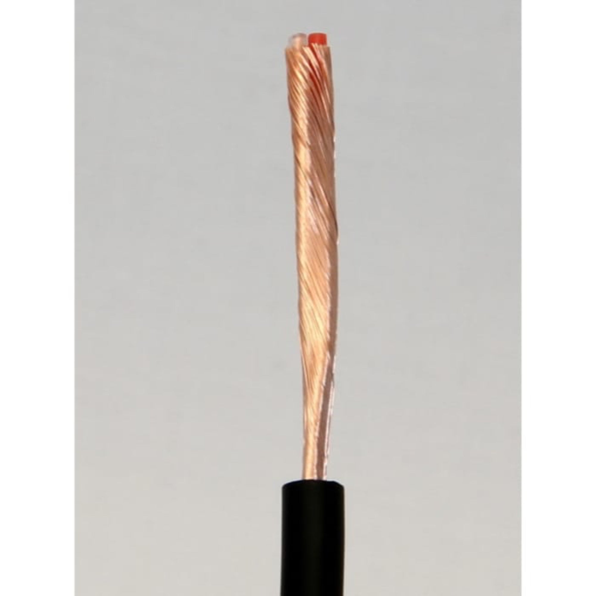 Mogami W2552 Superflexible Microphone Cable (Black, 164'/50m Roll)