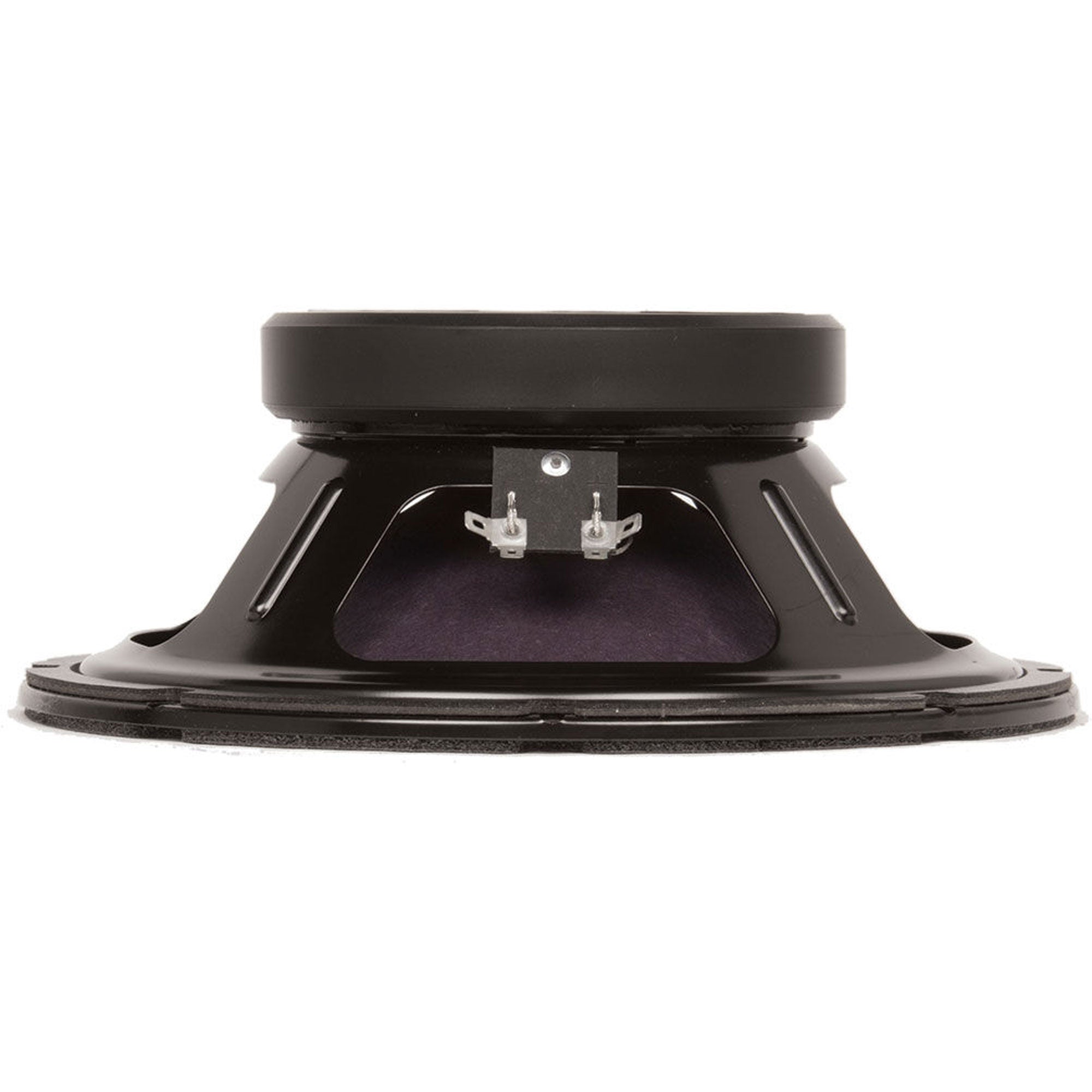 Eminence Ragin Cajun 10" Guitar Speaker, 8 Ohm