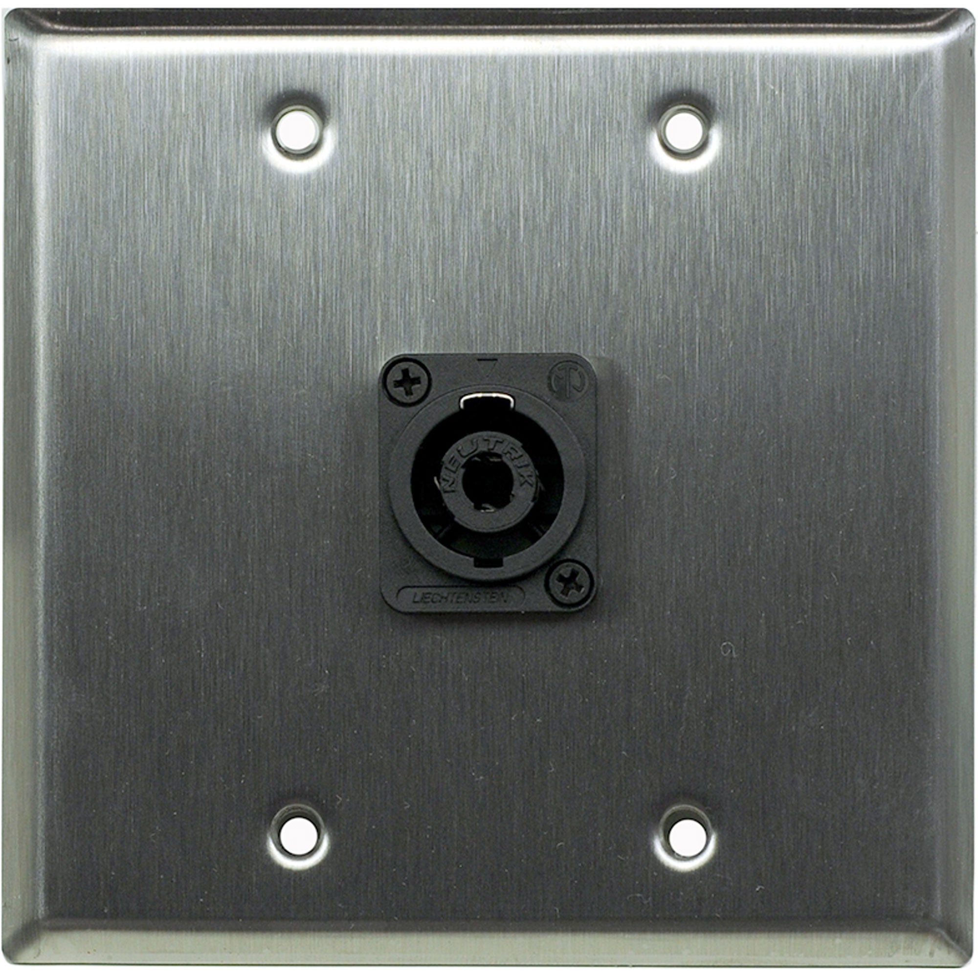 Whirlwind WP2/1NL4 2-Gang Wall Plate with 1 Neutrik NL4 Connector (Stainless Steel)