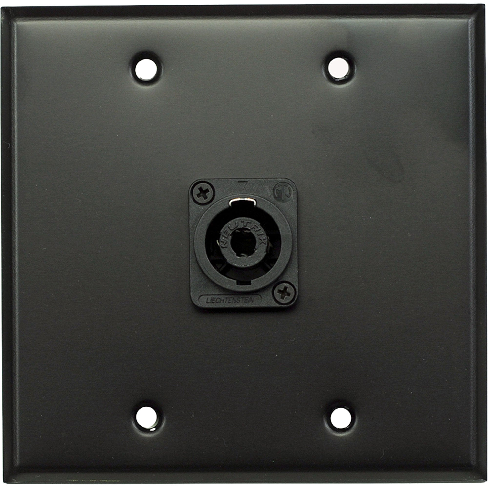 Whirlwind WP2B/1NL4 2-Gang Wall Plate with 1 Neutrik NL4 Connector (Black)