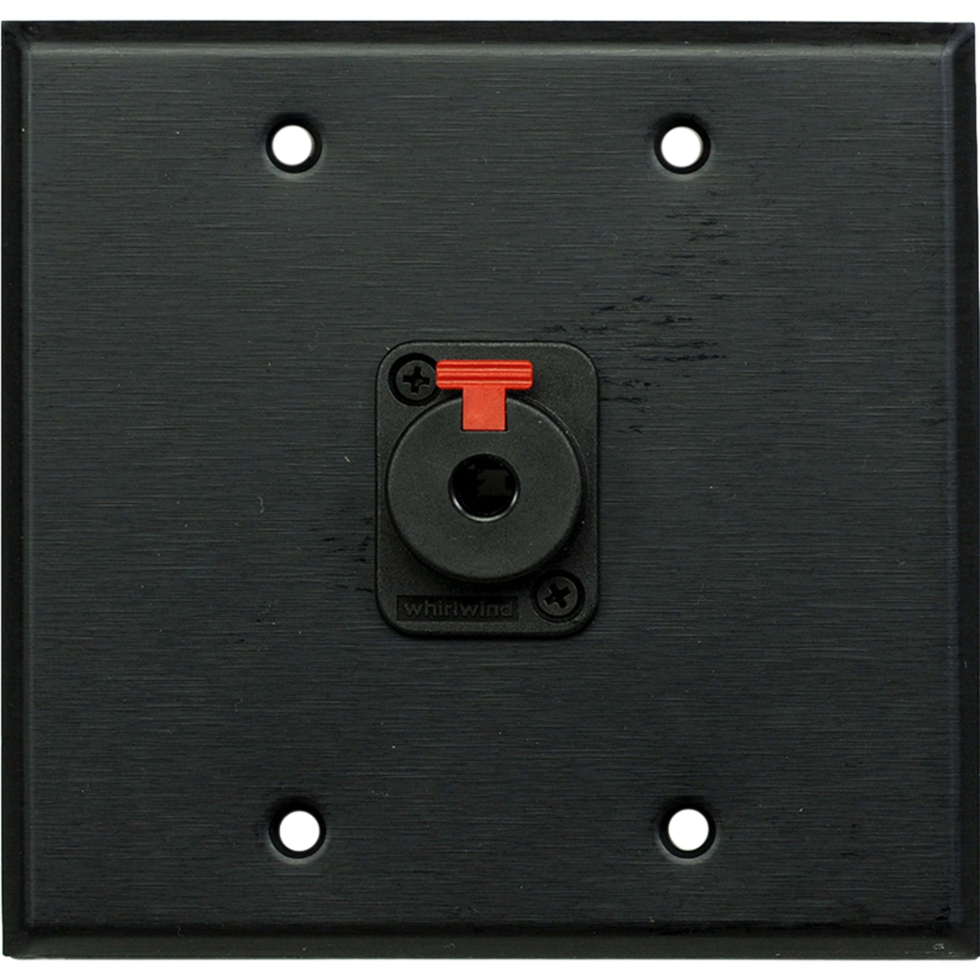 Whirlwind WP2B/1QW 2-Gang Wall Plate with 1 Whirlwind WCQF 1/4" Jack Connector (Black)