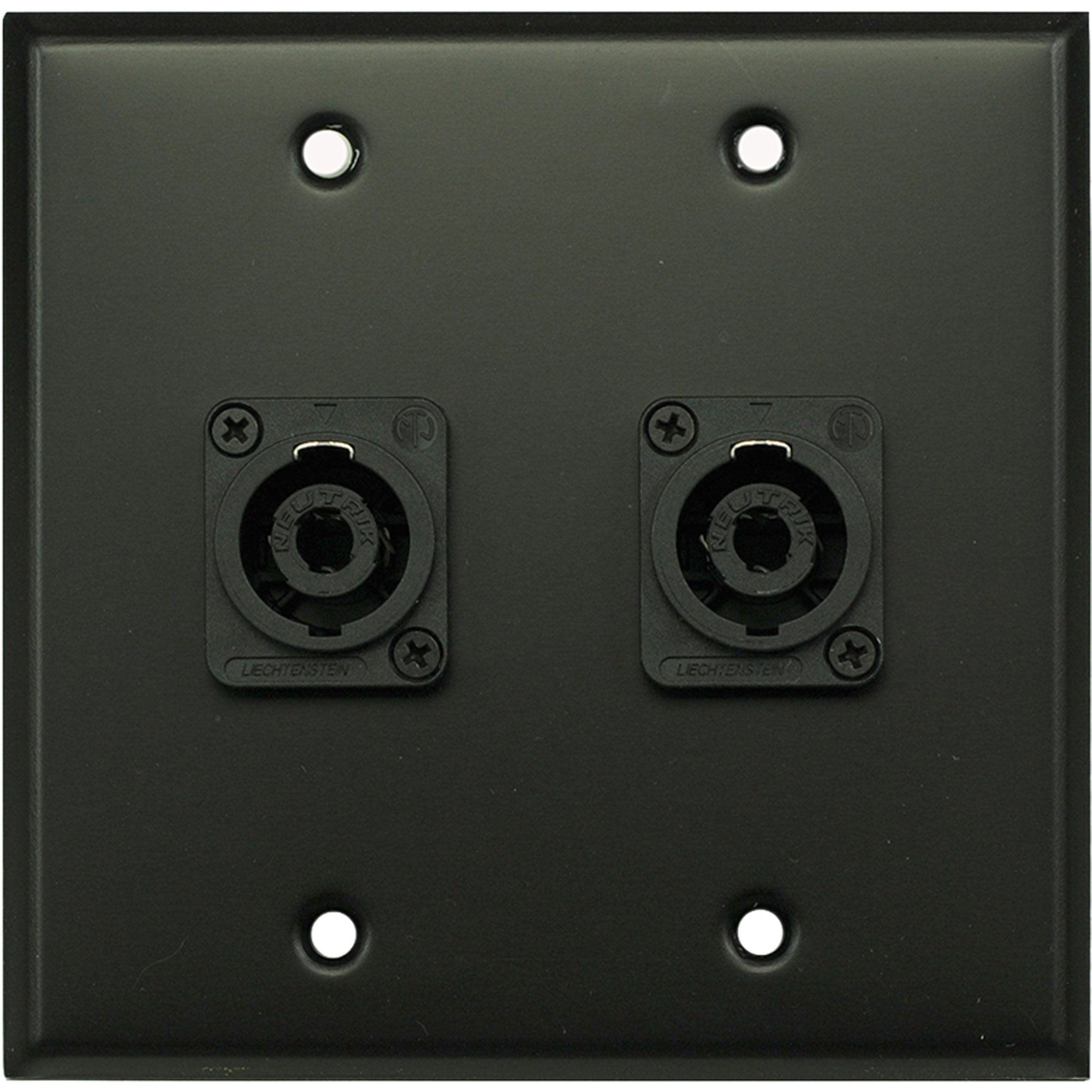 Whirlwind WP2B/2NL4 2-Gang Wall Plate with 2 Neutrik NL4 Connectors (Black)
