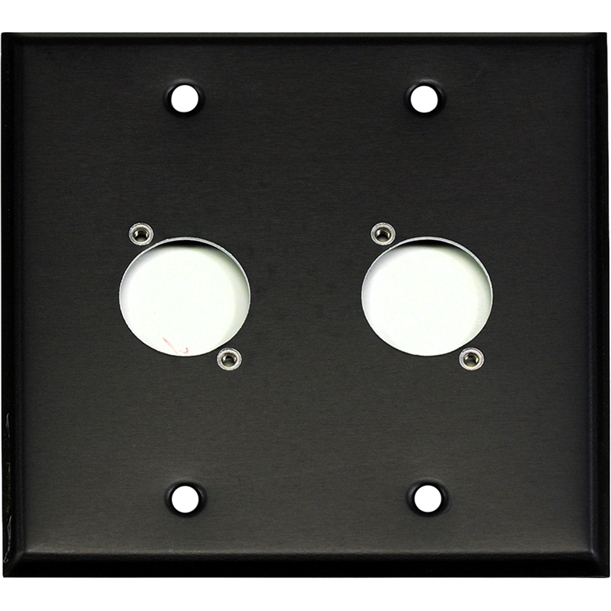 Whirlwind WP2B/2H 2-Gang Wall Plate Punched for 2 Whirlwind XLR Connectors (Black)