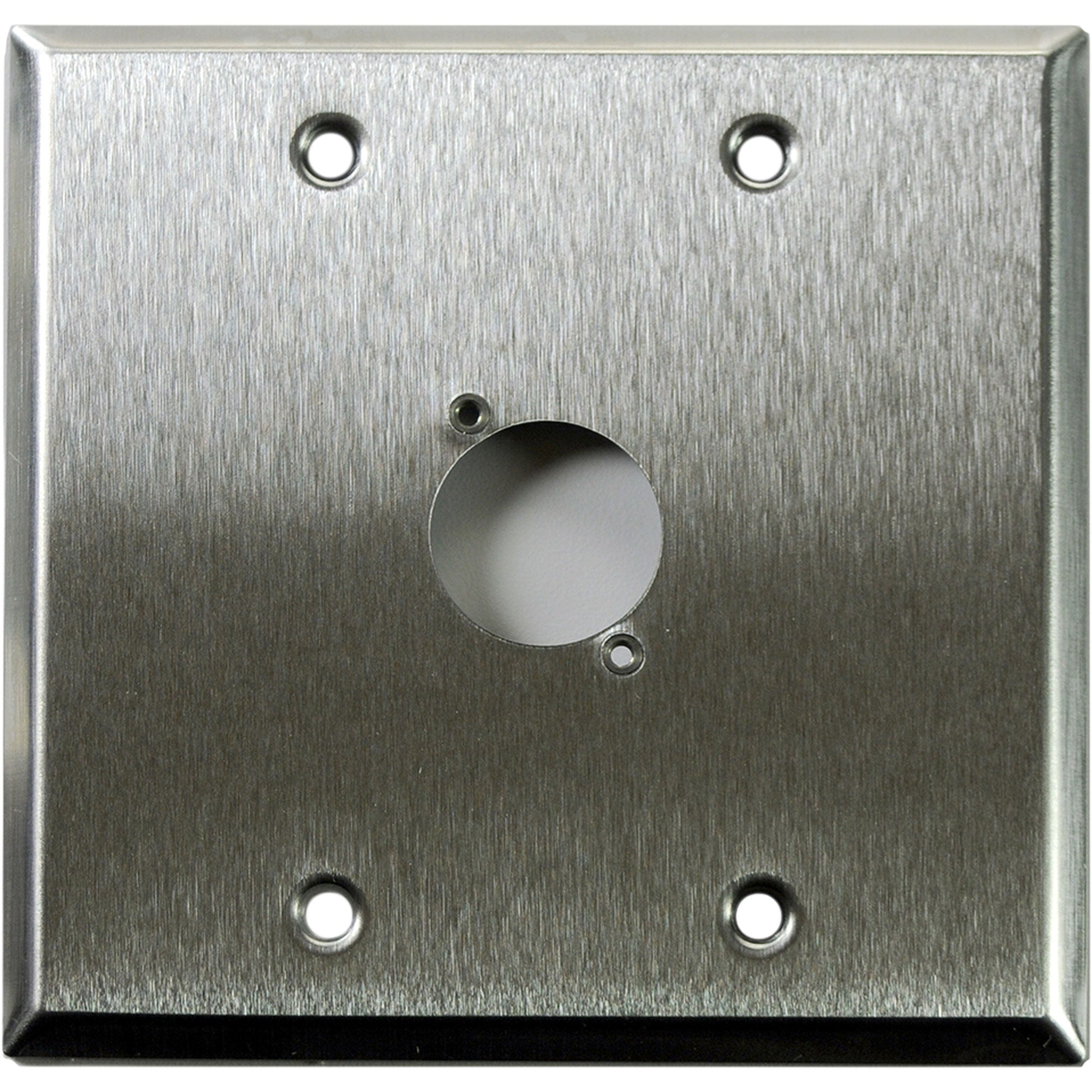 Whirlwind WP2/1H 2-Gang Wall Plate Punched for 1 Whirlwind XLR Connector (Stainless Steel)