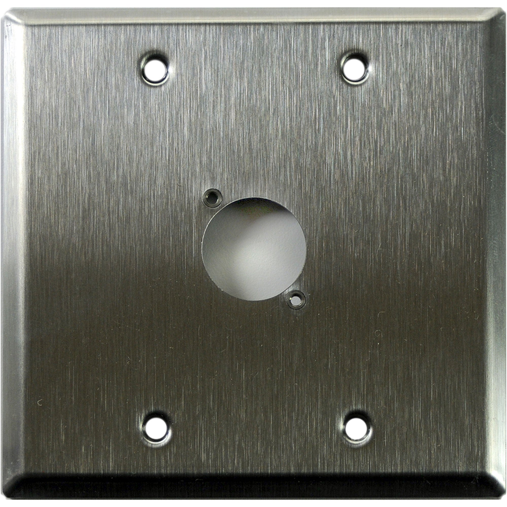 Whirlwind WP2/1NDH 2-Gang Wall Plate Punched for 1 Neutrik XLR Connector (Stainless Steel)