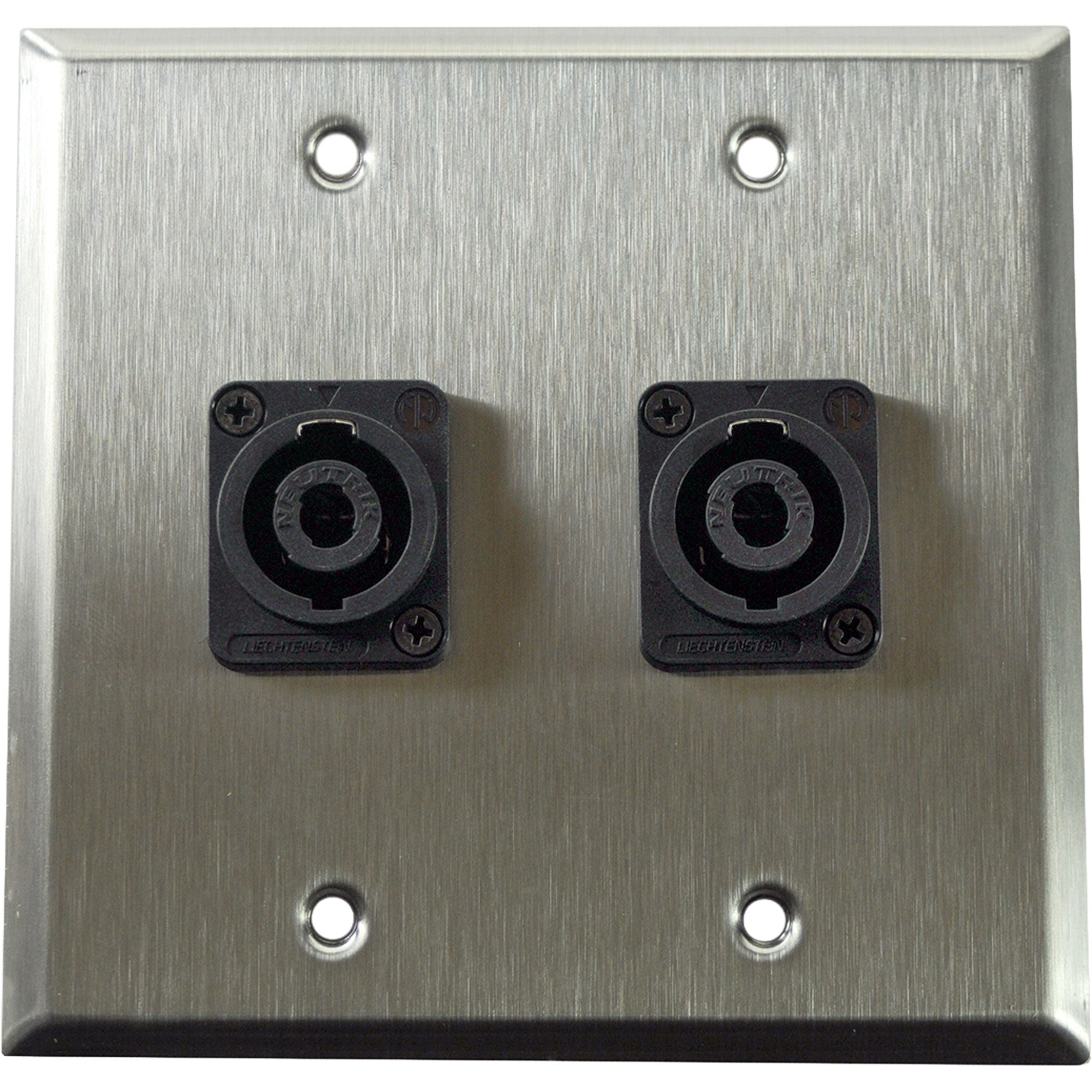 Whirlwind WP2/2NL4 2-Gang Wall Plate with 2 Neutrik NL4 Connectors (Stainless Steel)