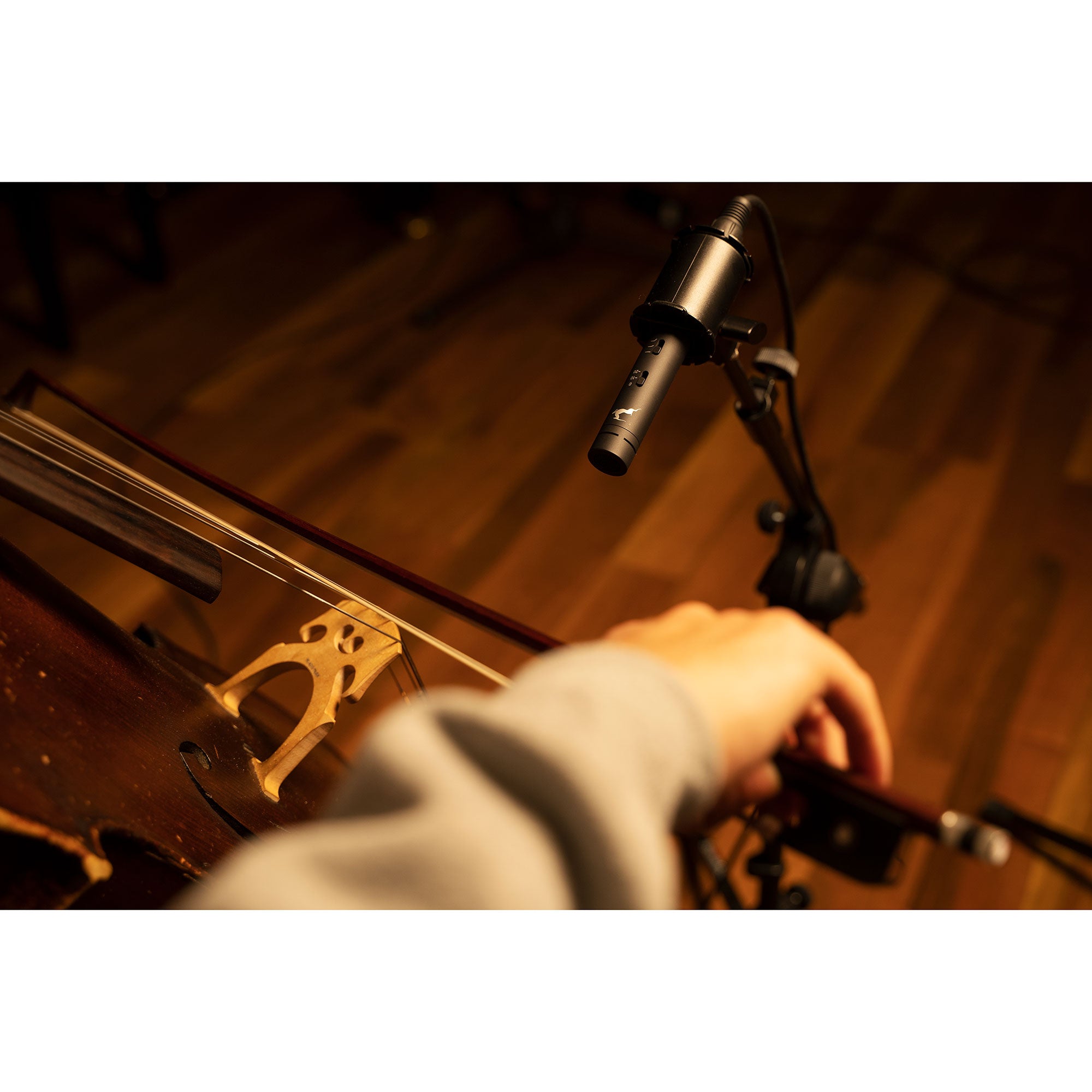 Antelope Audio Edge Note Small-Diaphragm Condenser Modeling Microphone