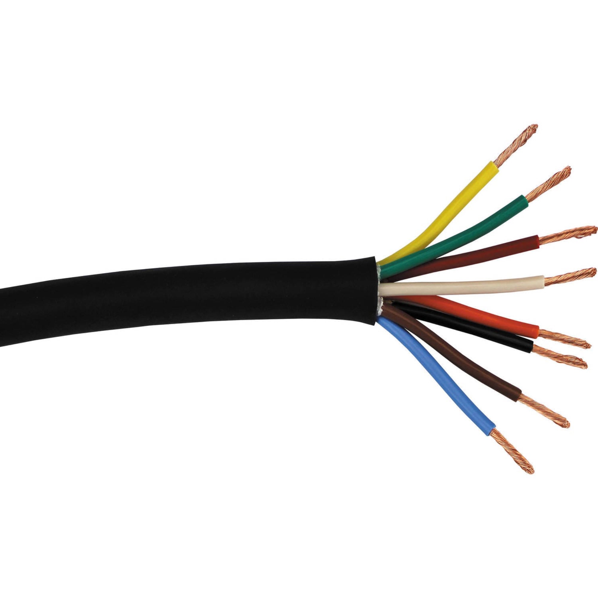 Custom Cable 65 Feet of RapcoHorizon SPEAKER8 Wire